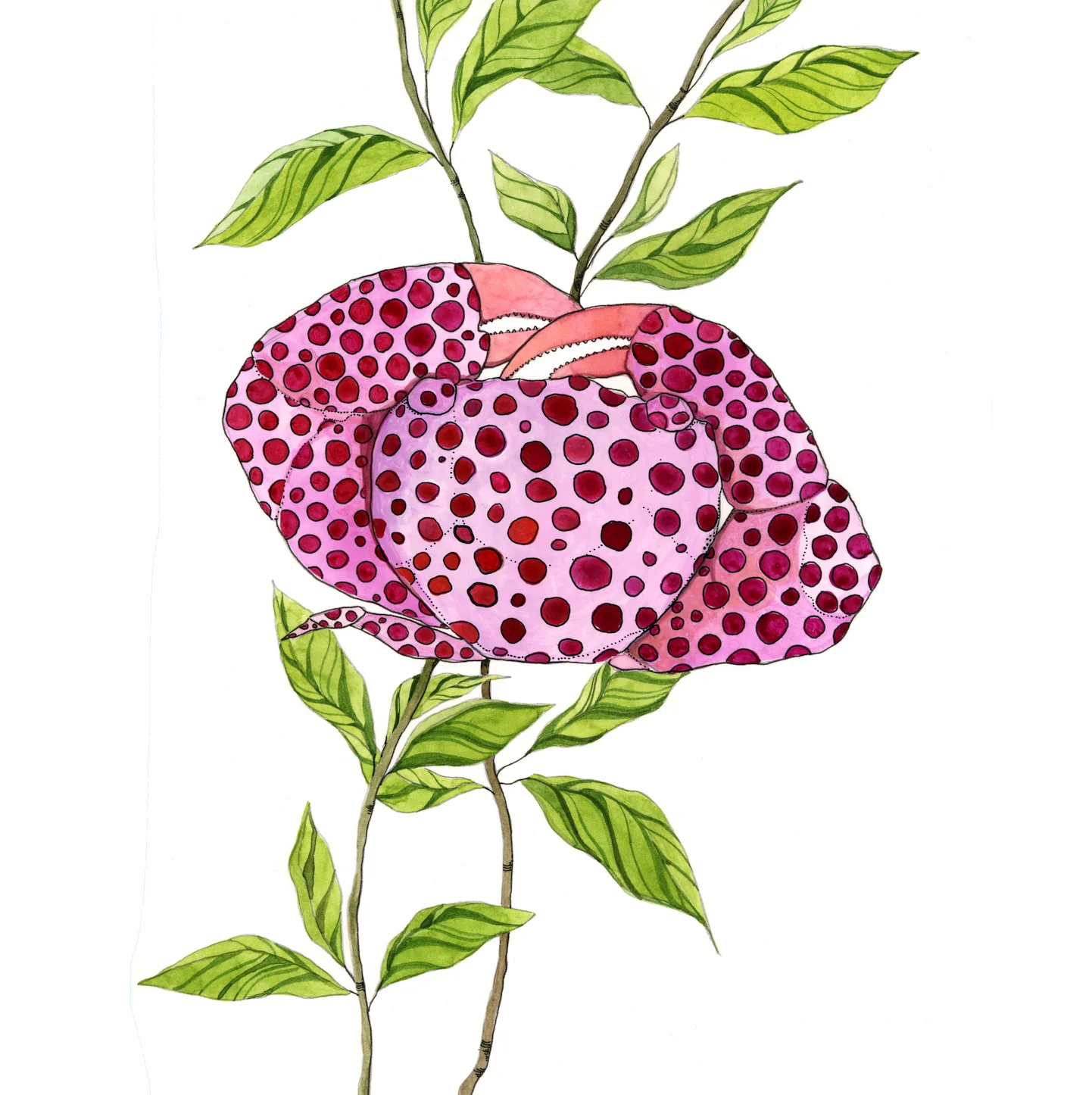 kristin wornson, kristin wornson illustration, kristin wornson art, ocean watercolor, ocean illustrations