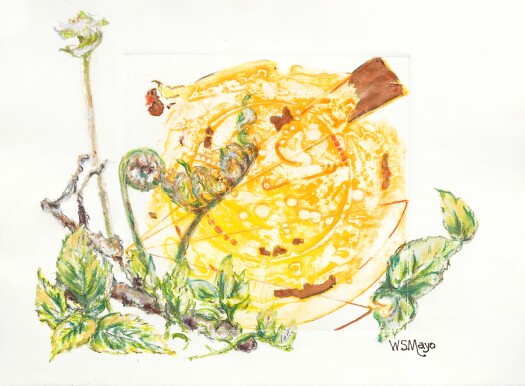 Fiddleheads