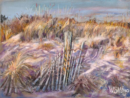 Sand Fence