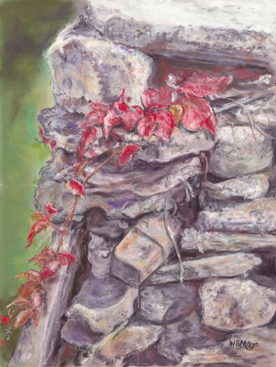 Vine and Stone