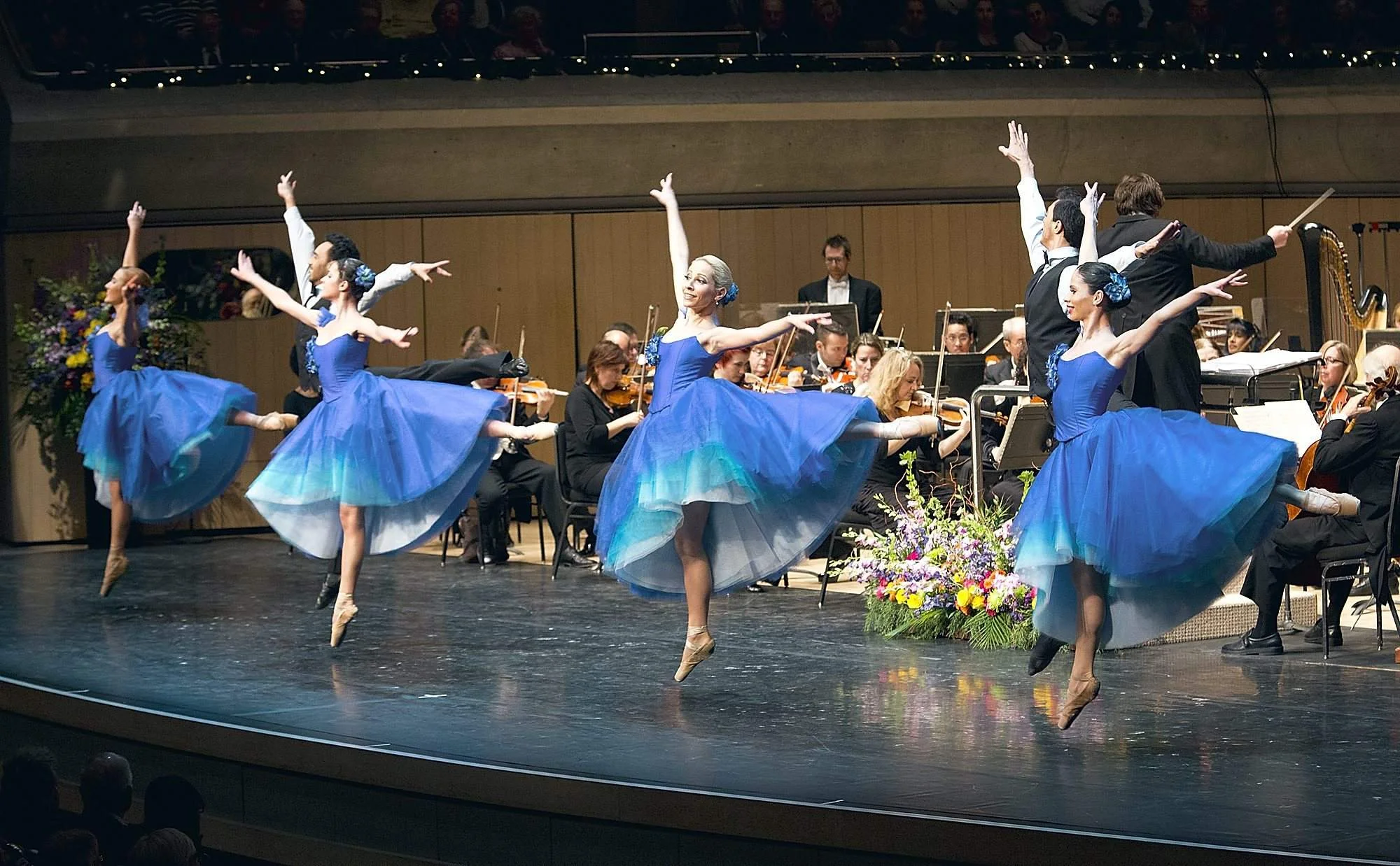 Salute to Vienna - A New Year's Concert
