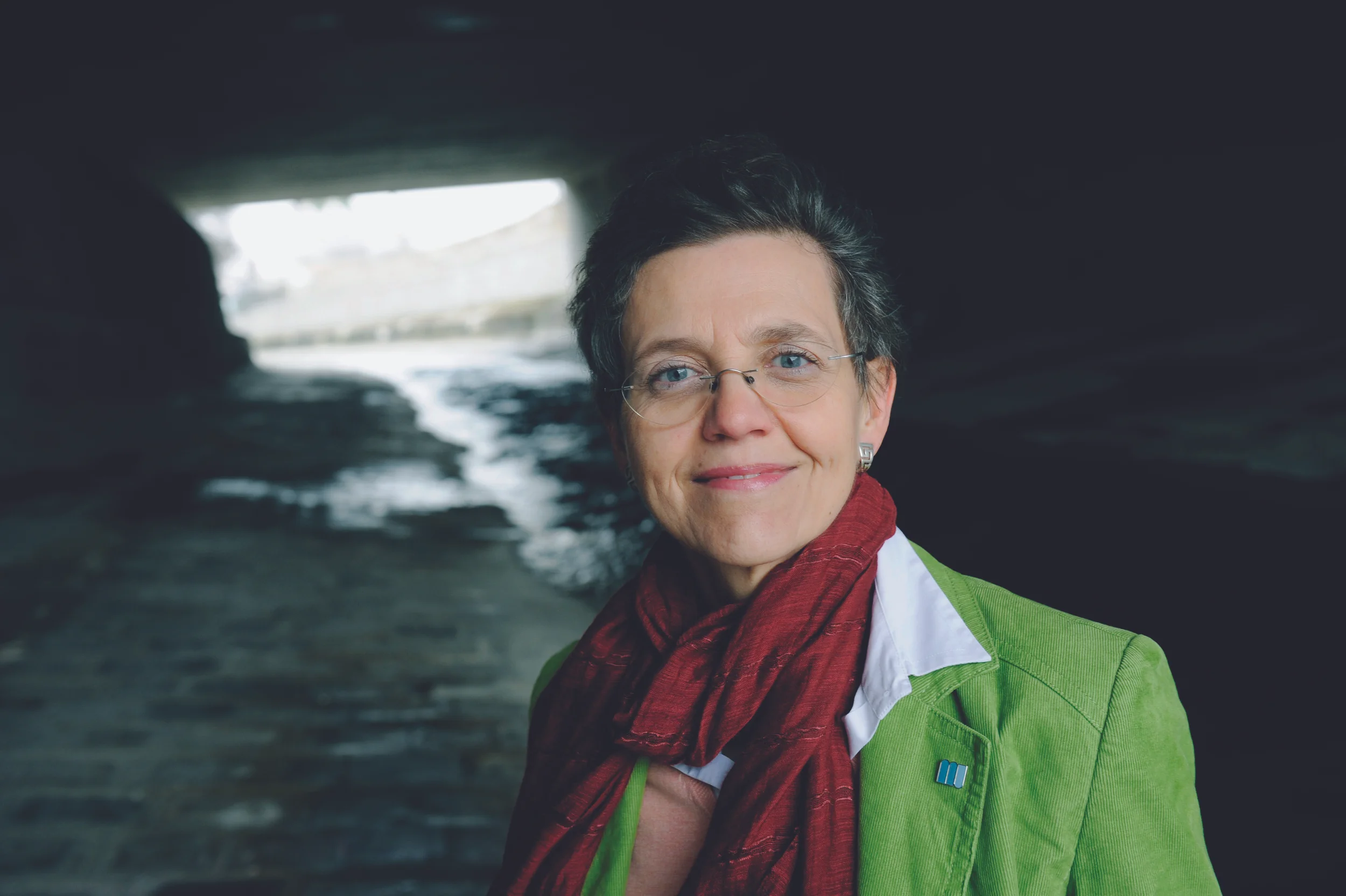 Austrian Scientist of the Year 2013