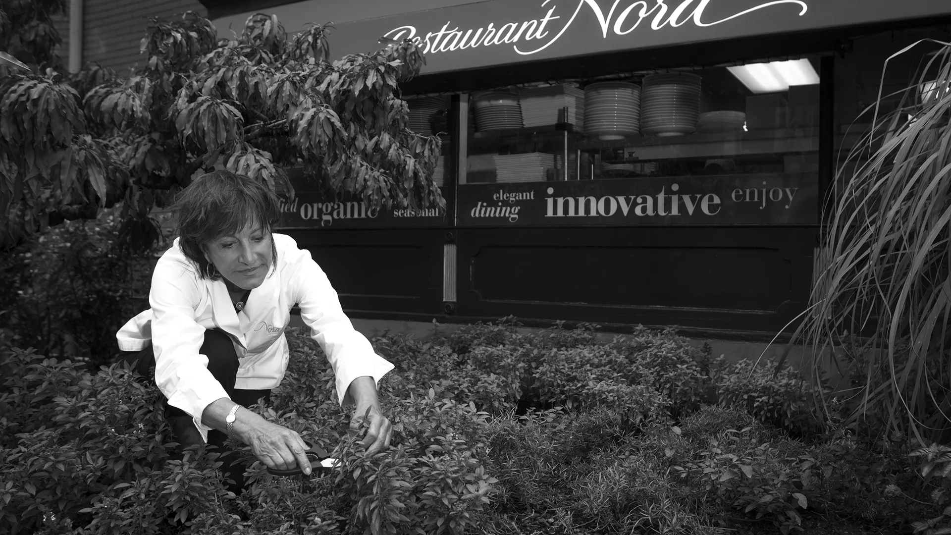 UPCOMING: Book presentation: Nora Pouillon “My organic Life”