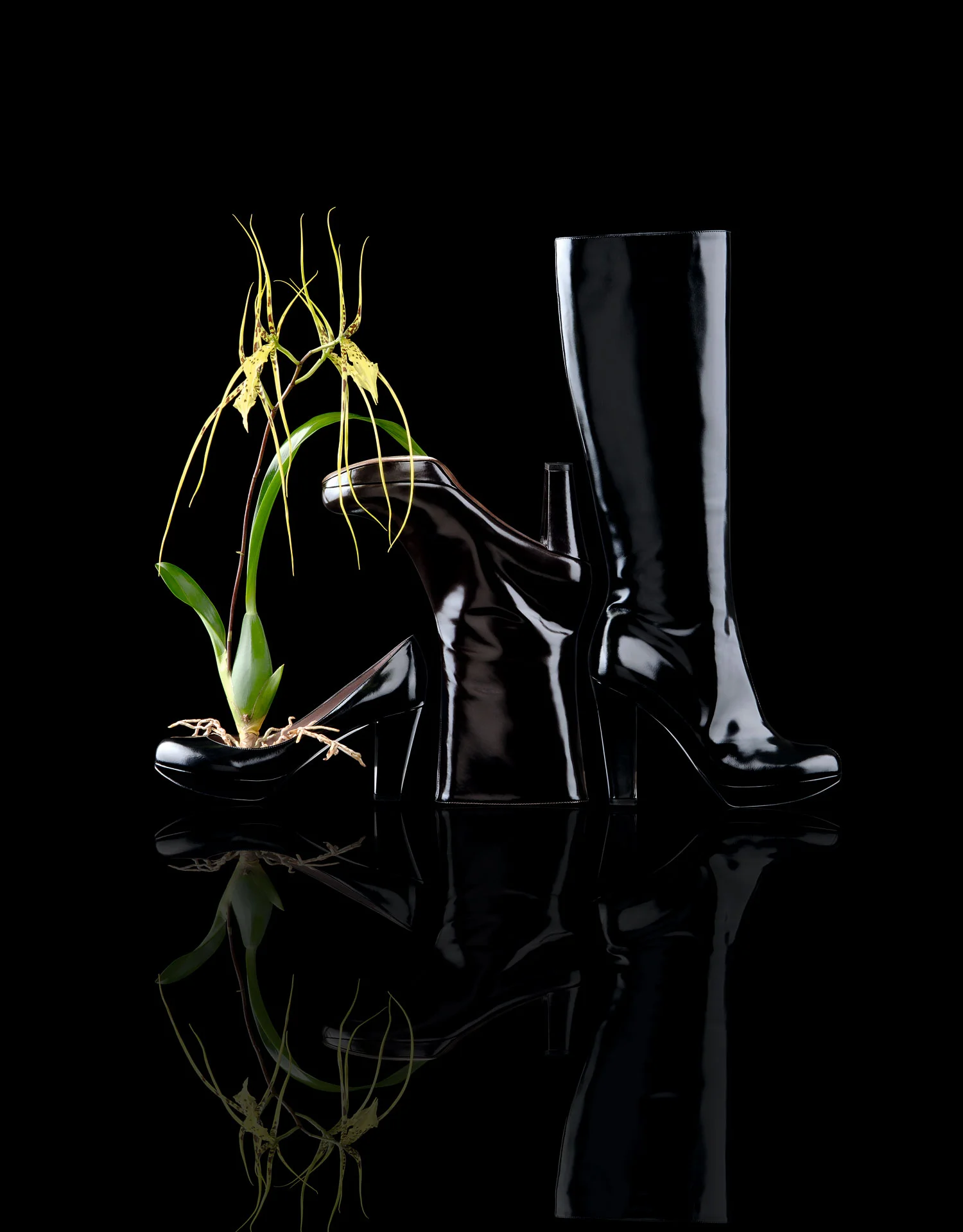 Pollini-web.jpg