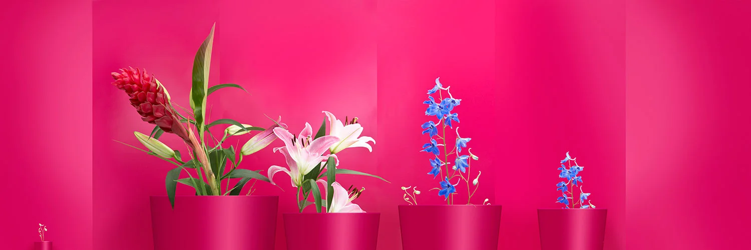 Blumen.jpg