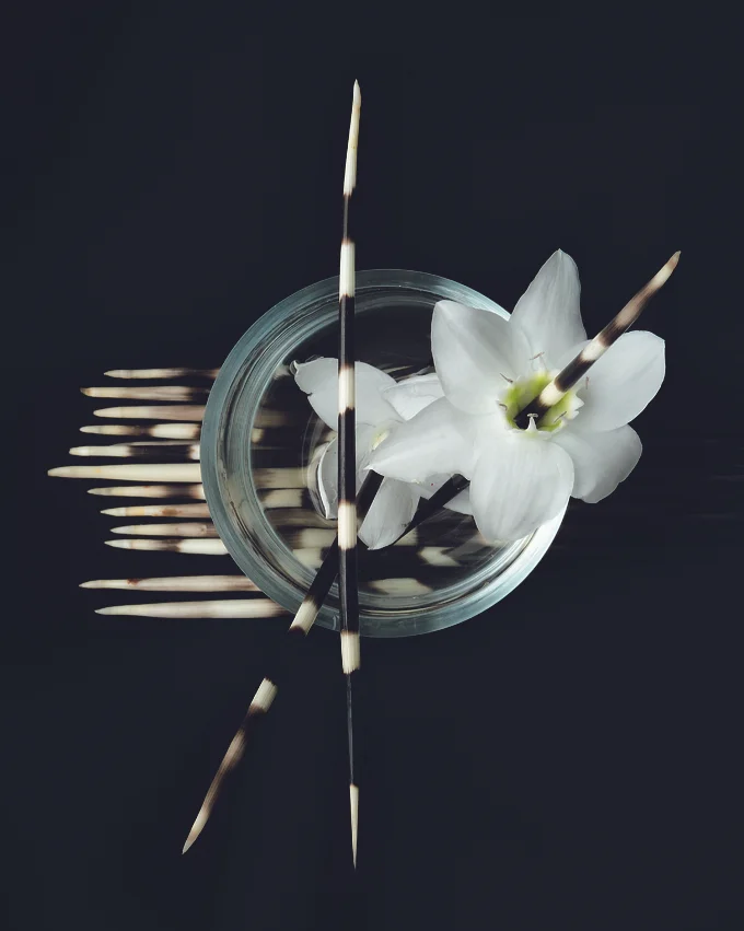 Flower_6.jpg