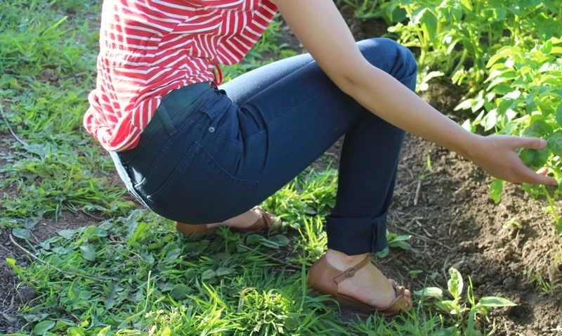 American Apparel Slim Slack Jeans Model Garden.jpg
