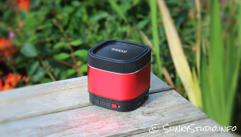 Raikko Party X1 Speaker Review