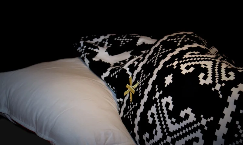 iMusic Bluetooth Pillow Review