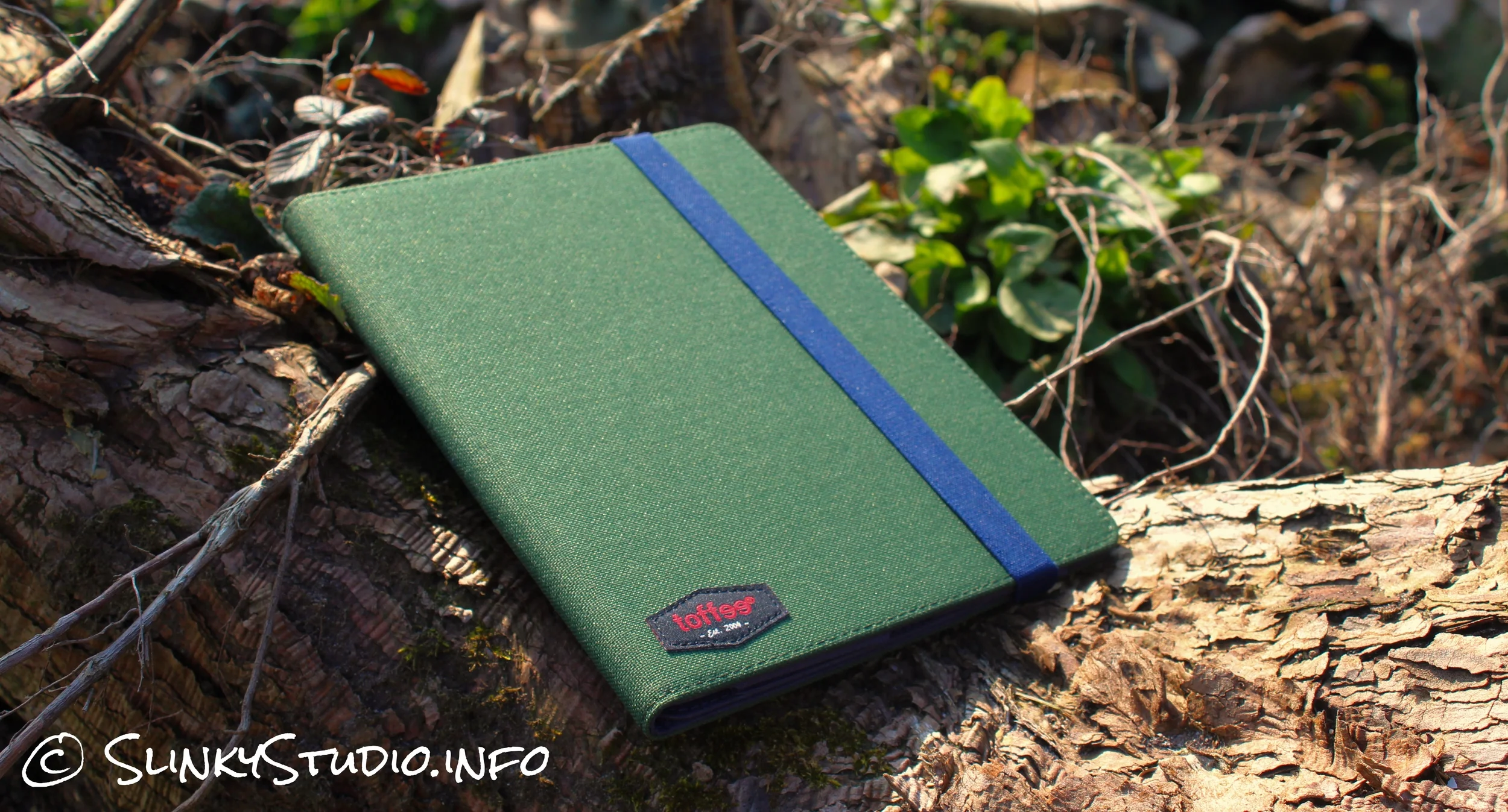 Toffee Flip Folio Case for iPad Air 2 Review