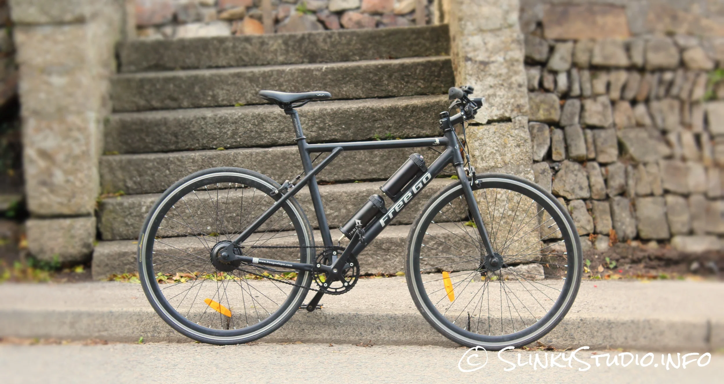 FreeGo Raptor eBike Review