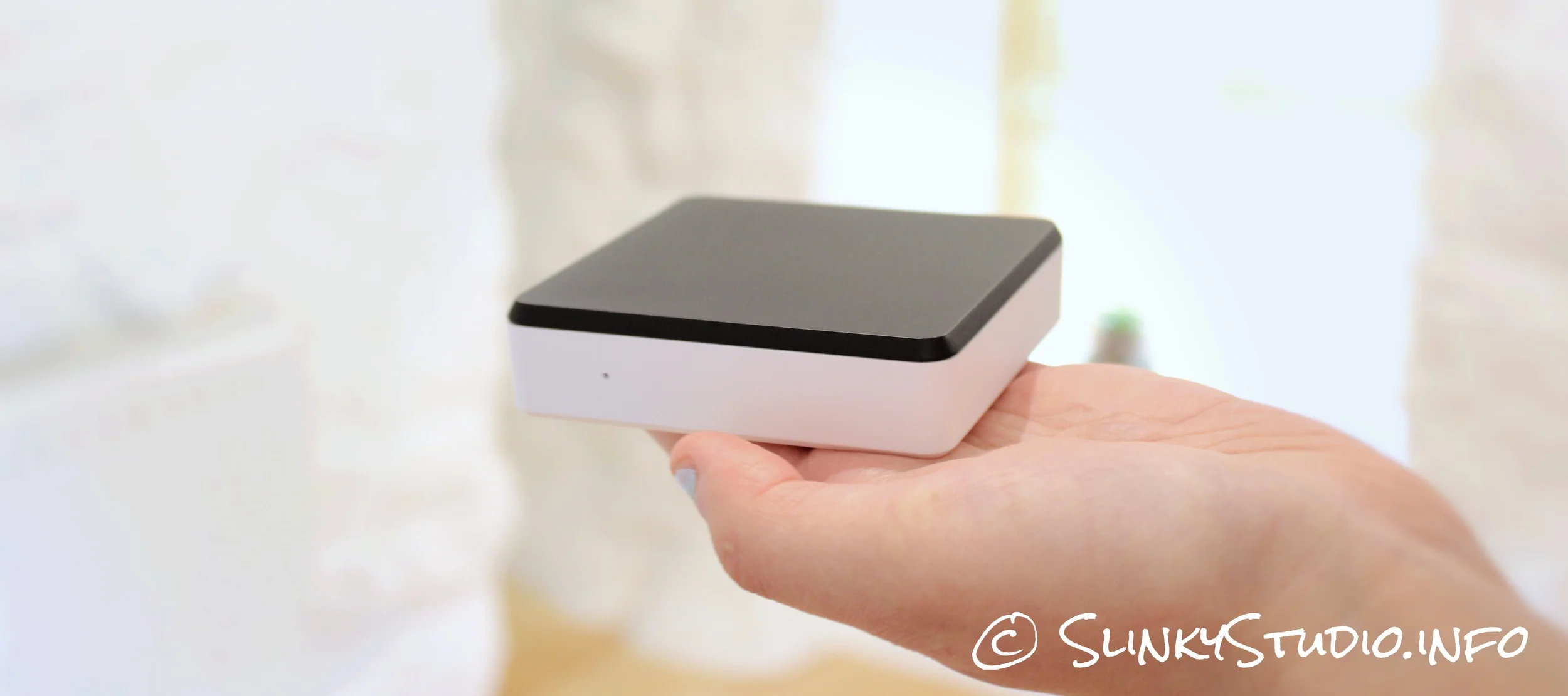 Swissvoice Voice Bridge Review