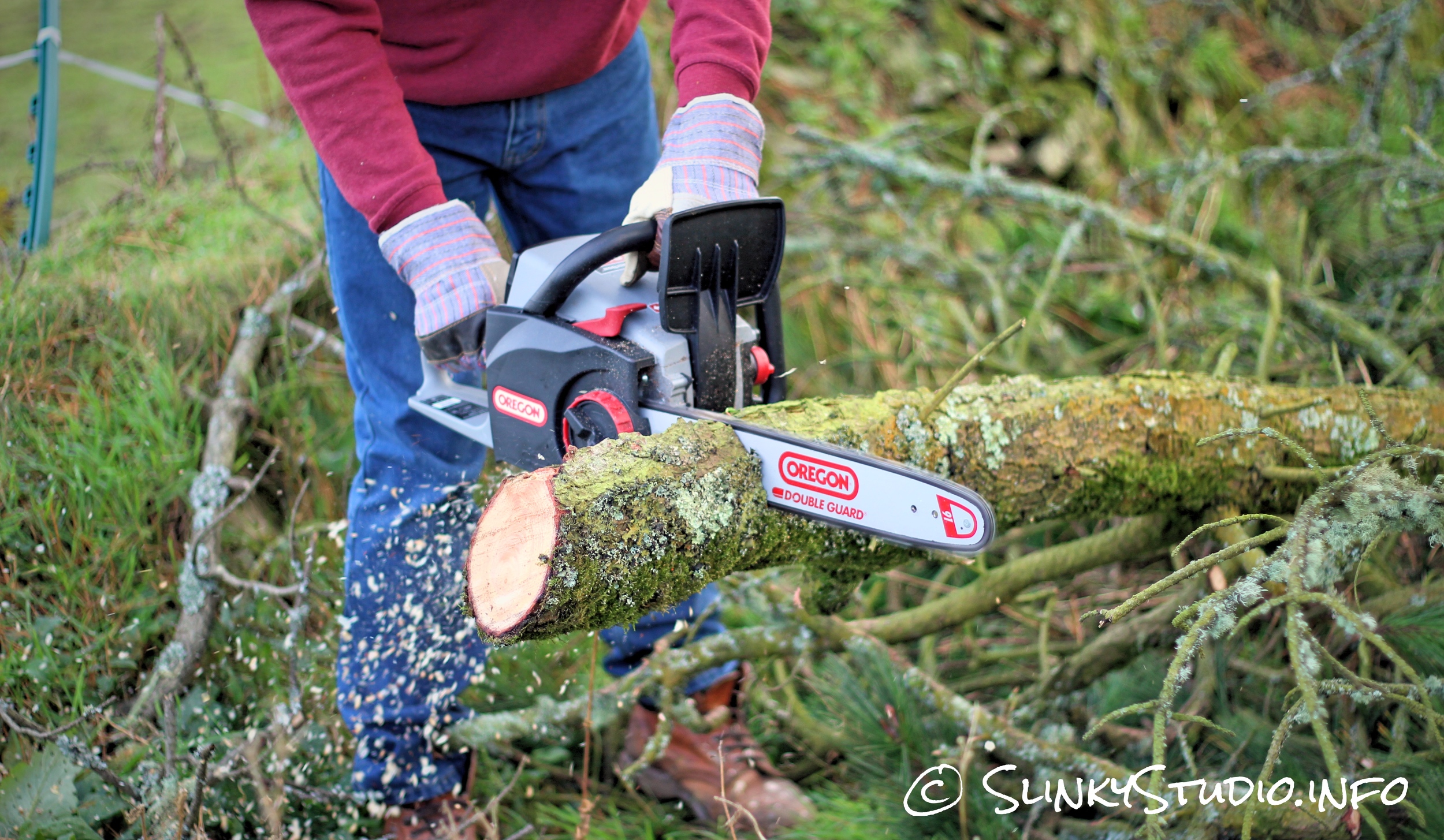 Oregon CS300 PowerNow Cordless Chainsaw Cutting Tight Grain Tree.jpg