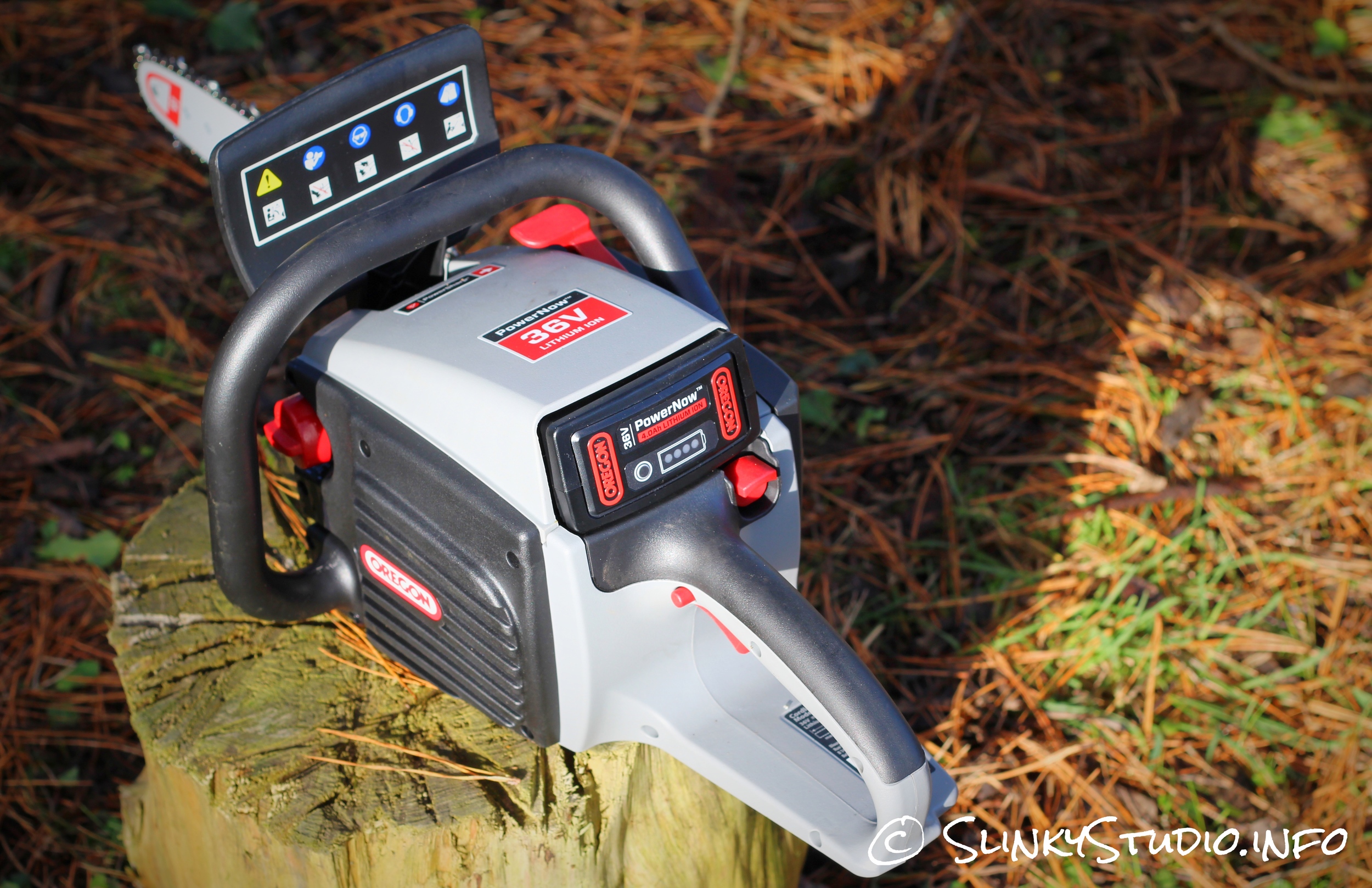 Oregon CS300 Cordless Chainsaw Back View.jpg