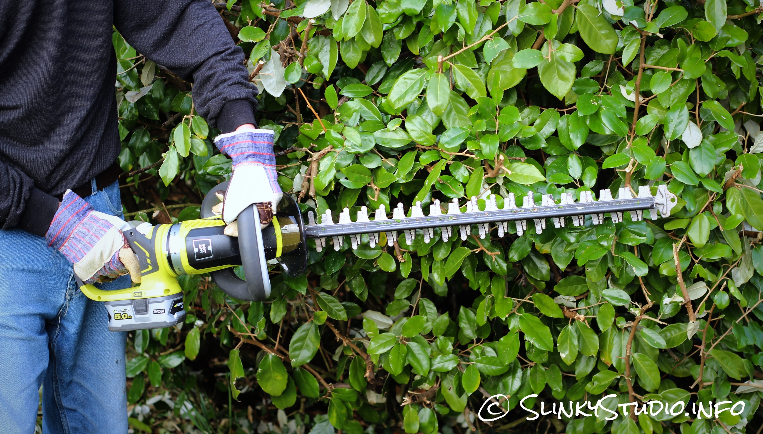 Ryobi One+ Hedge Trimmer Handle Twisted Cutting Hedge Downwards.jpg