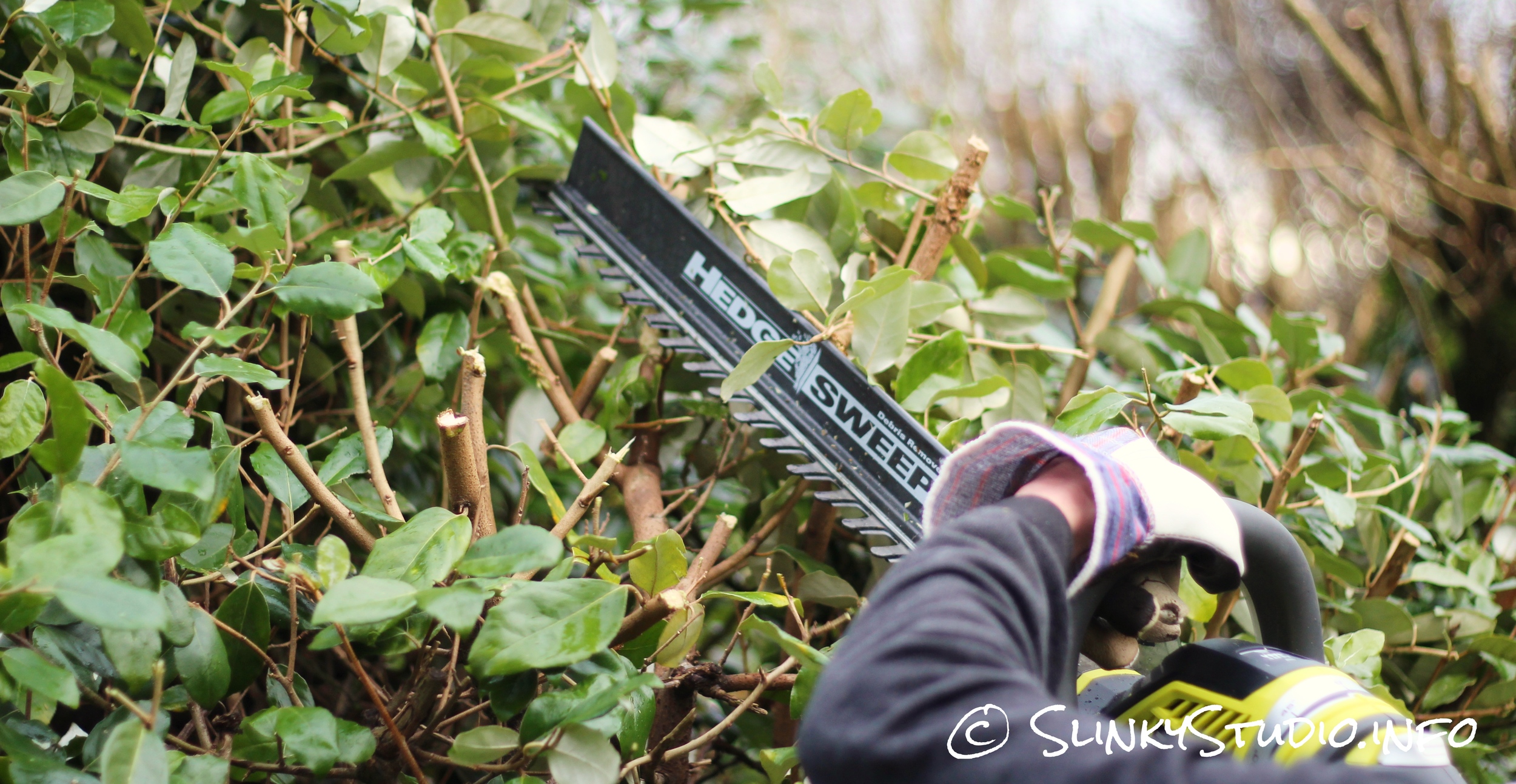 Ryobi One+ Hedge Trimmer Hedge Sweep.jpg