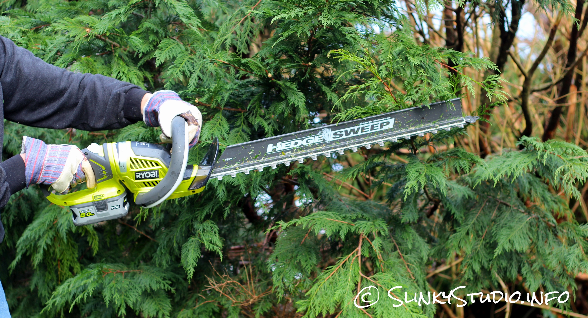 Ryobi One+ Hedge Trimmer Cutting Tree Greenery.jpg