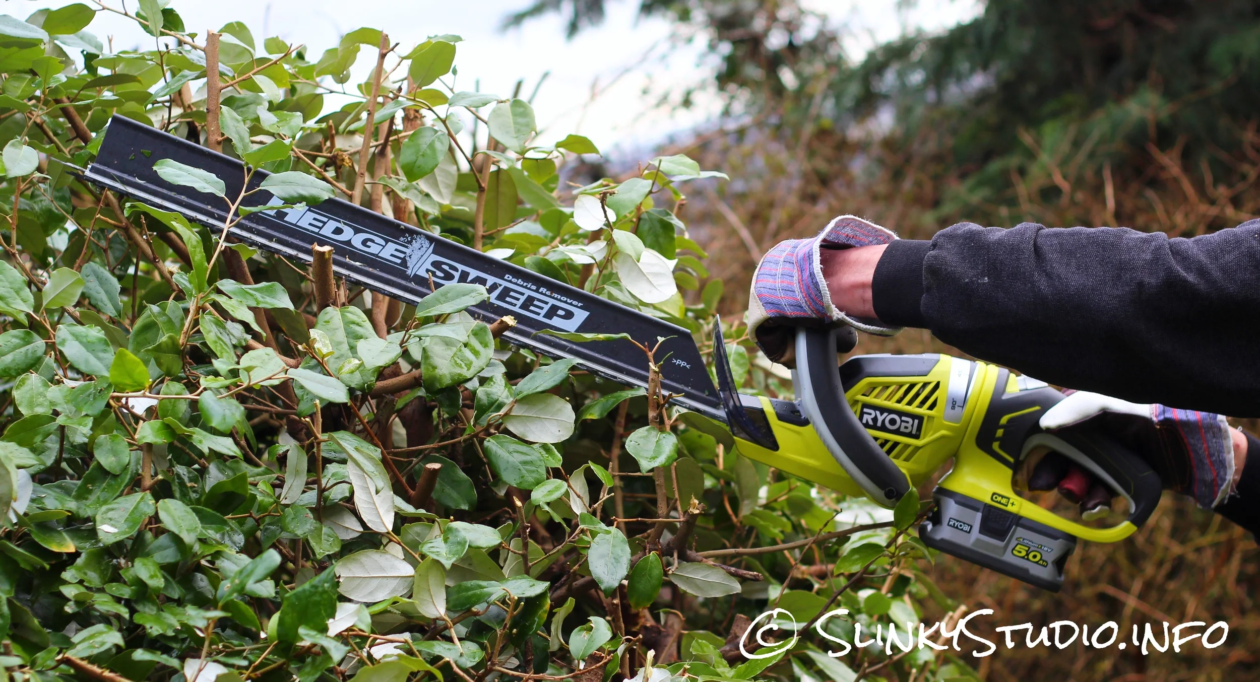Ryobi 18V ONE+ Hedge Trimmer Review