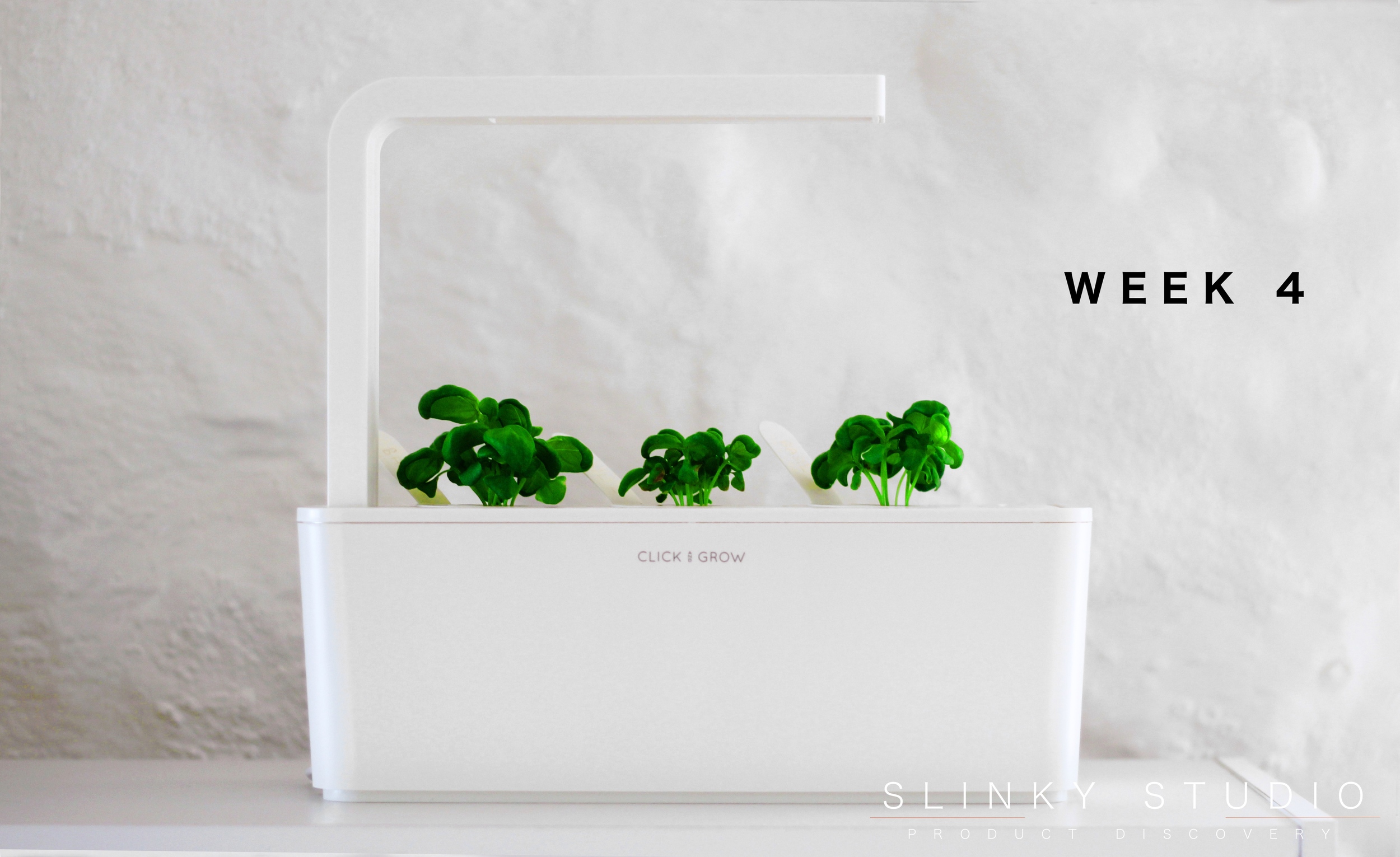 Click & Grow Smart Garden Basil Week 4 Growth