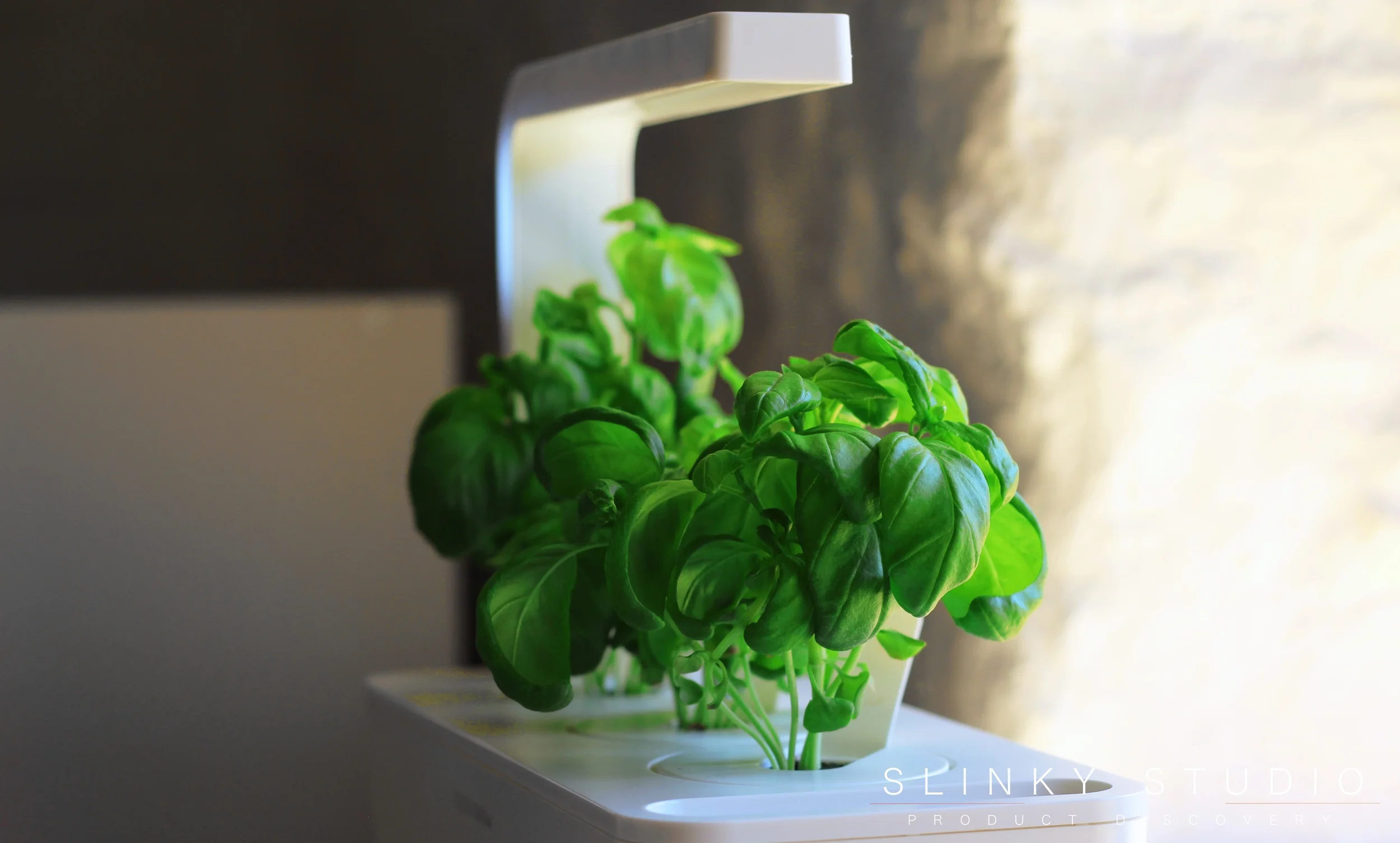 Click Grow Smart Garden Review Slinky Studio