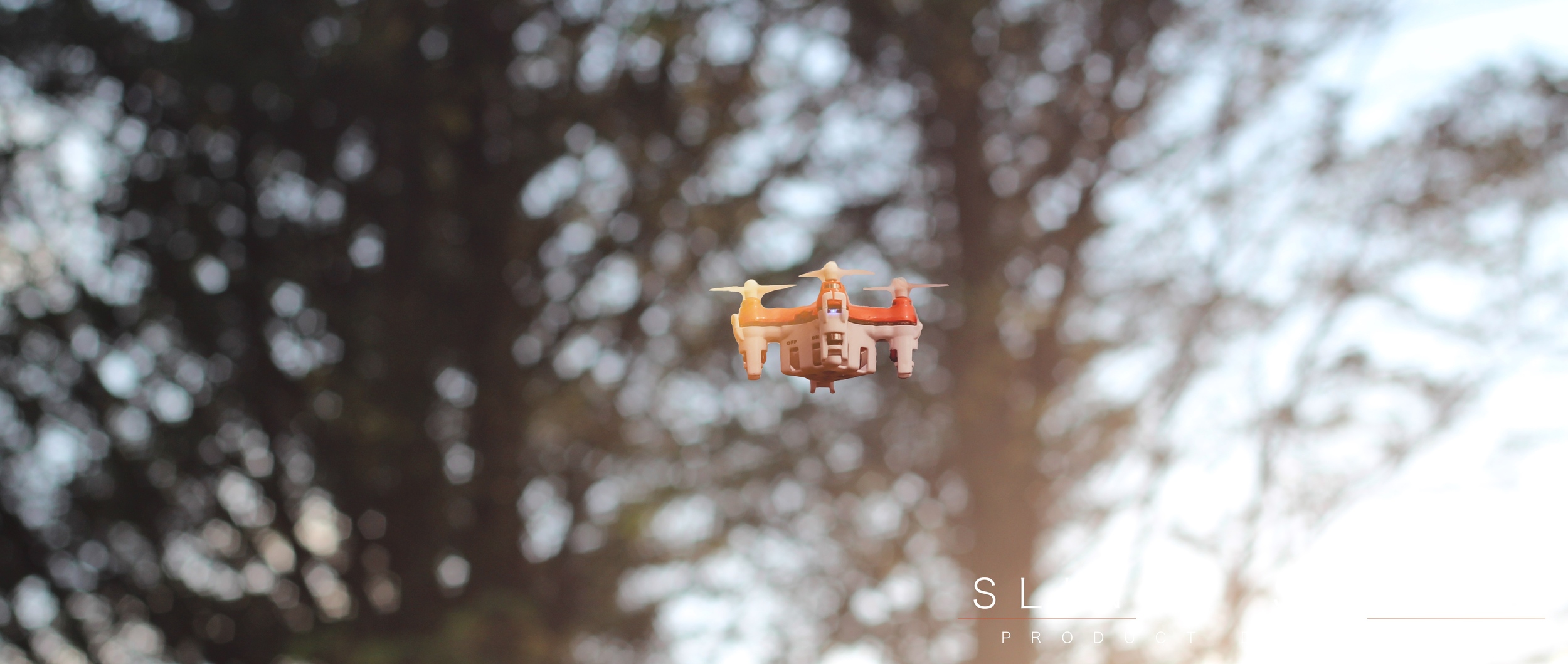BuzzBee Nano Drone Flying in front of tree.jpg