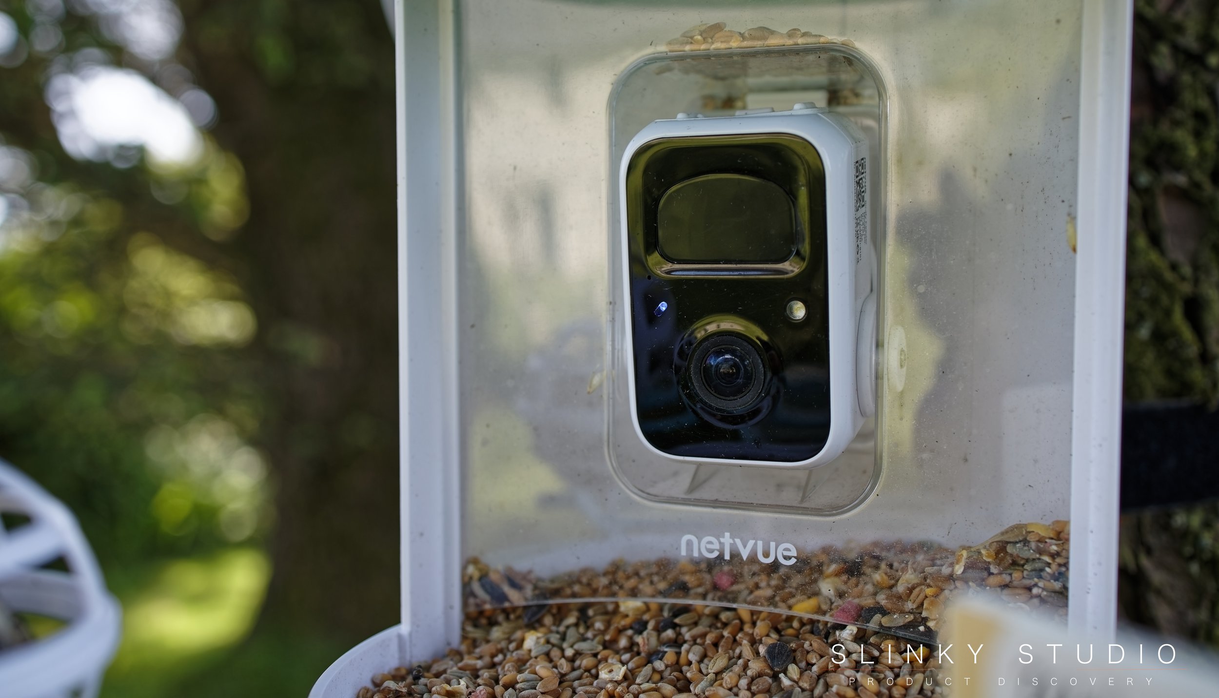 Netvue Birdfy Smart AI Bird Feeder Camera Close Up.jpg