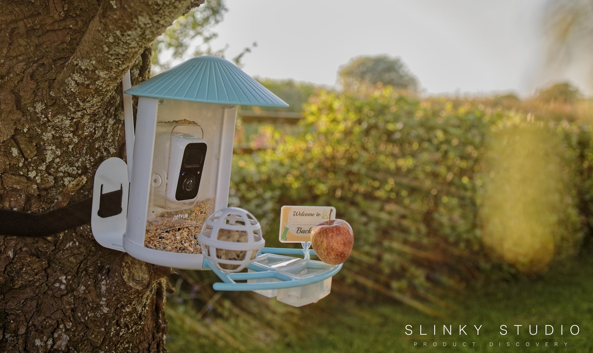 Netvue Birdfy Smart AI Bird Feeder Review: Tweetest Feeder in Town? -  Slinky Studio