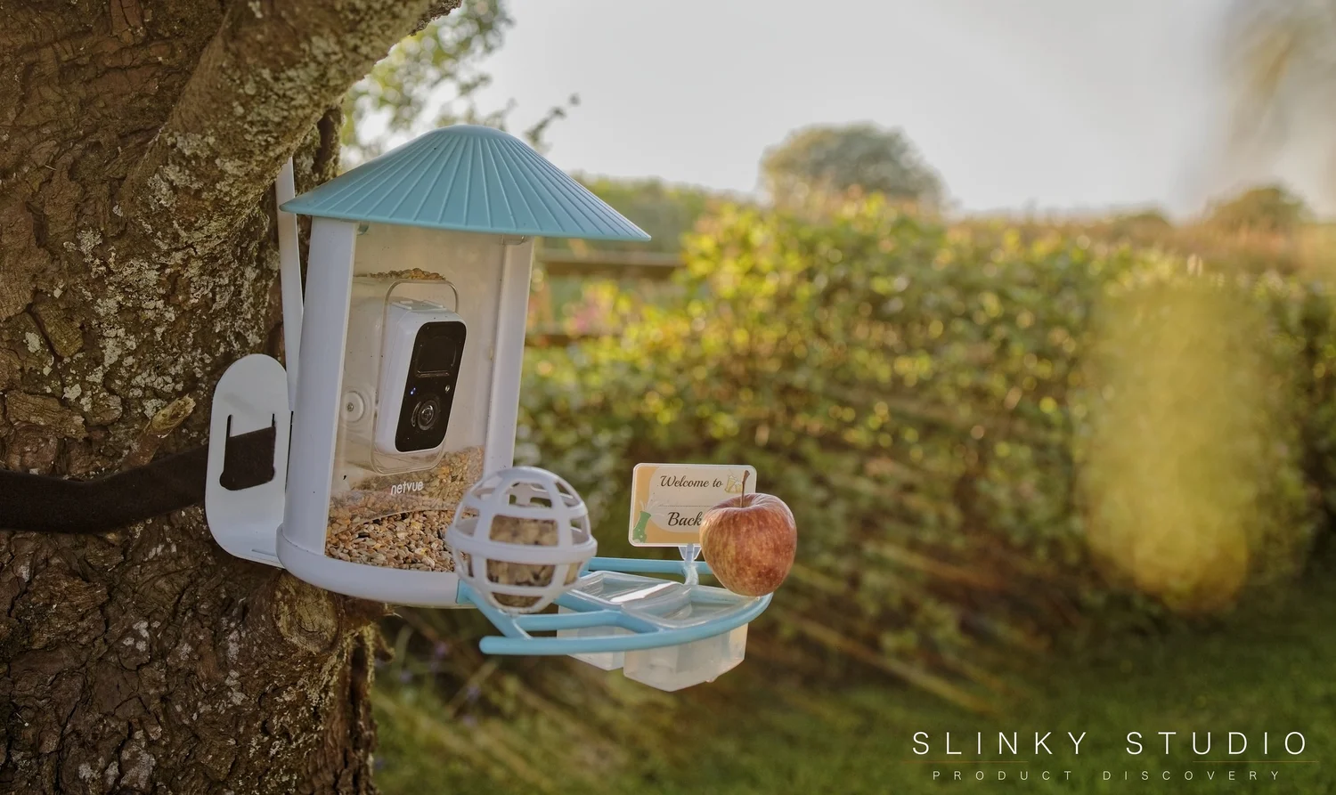 Netvue Birdfy Smart AI Bird Feeder Review Tweetest Feeder in Town