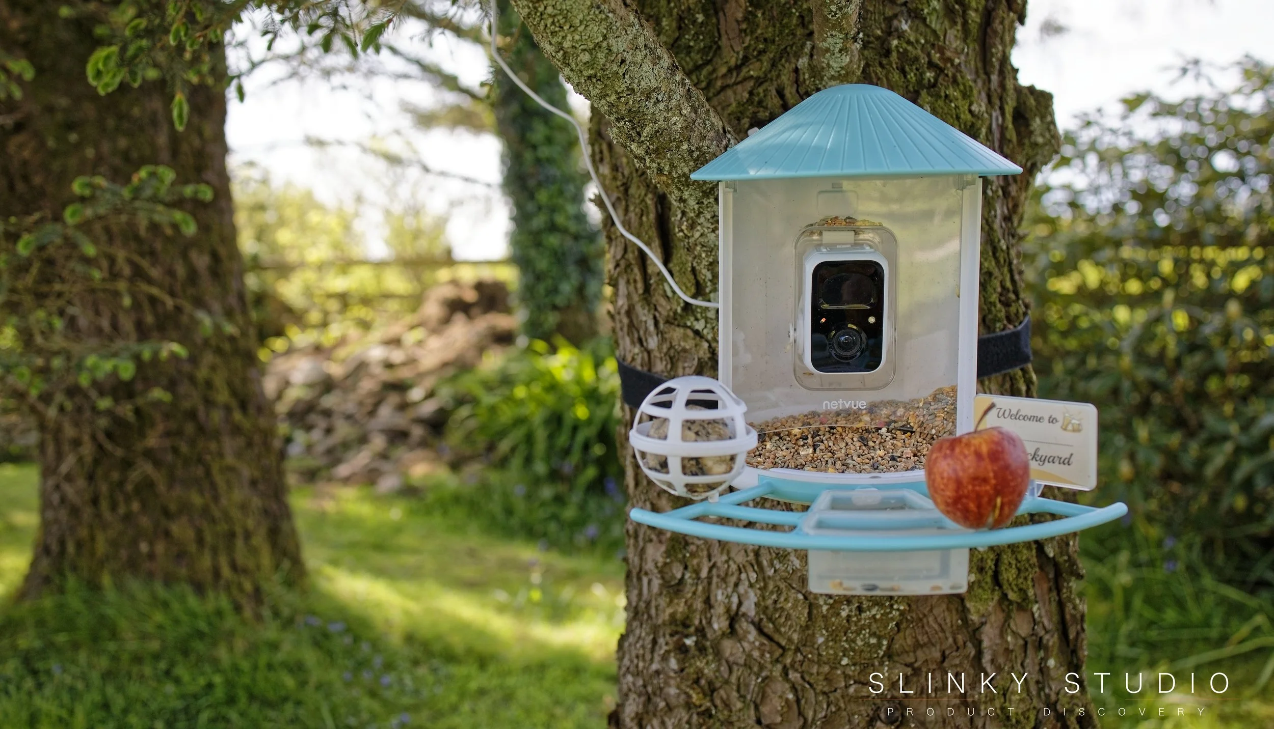 Netvue Birdfy Smart AI Bird Feeder Review Tweetest Feeder in Town
