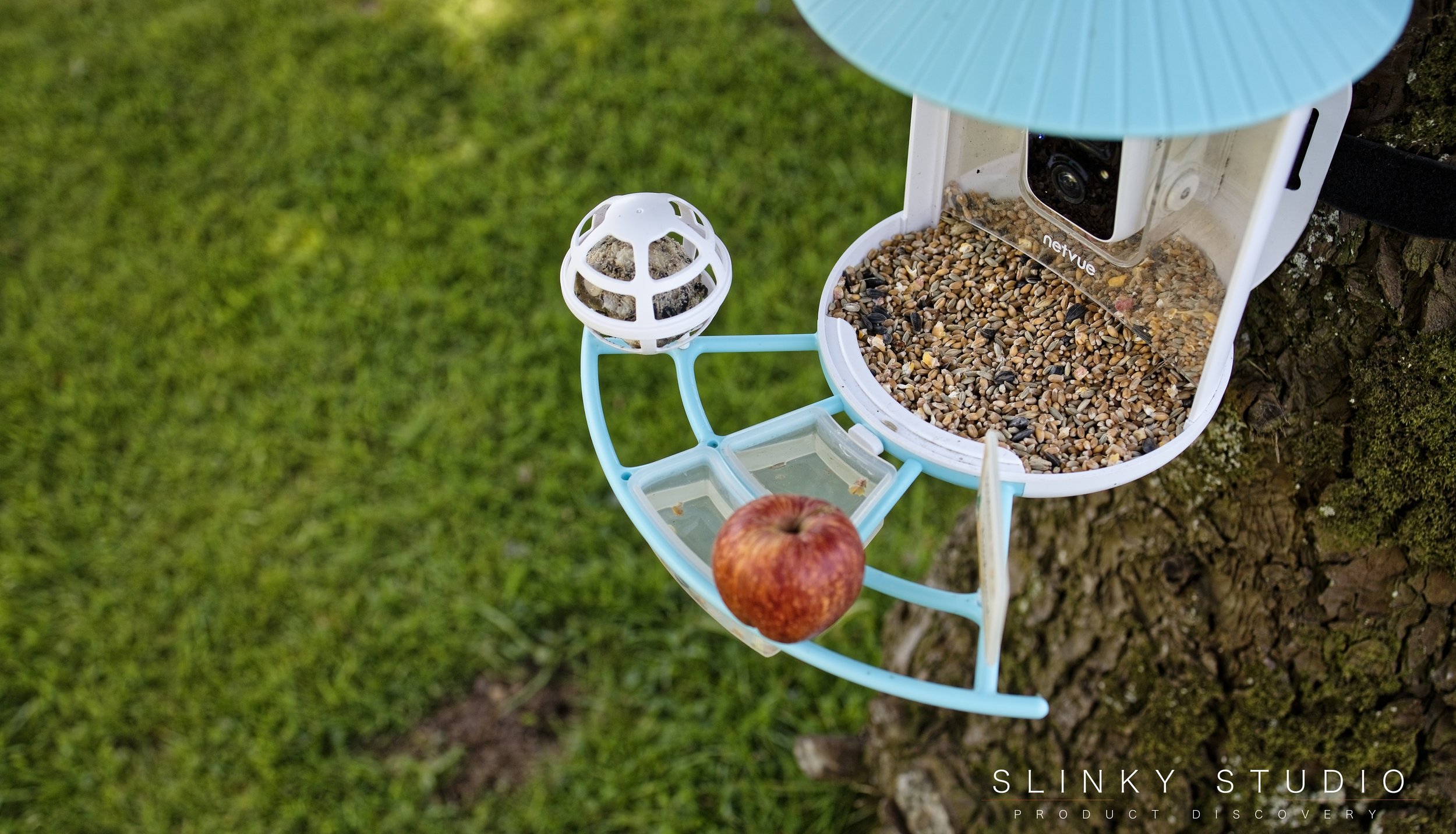 Netvue Birdfy Smart AI Bird Feeder Pro Perch.jpg