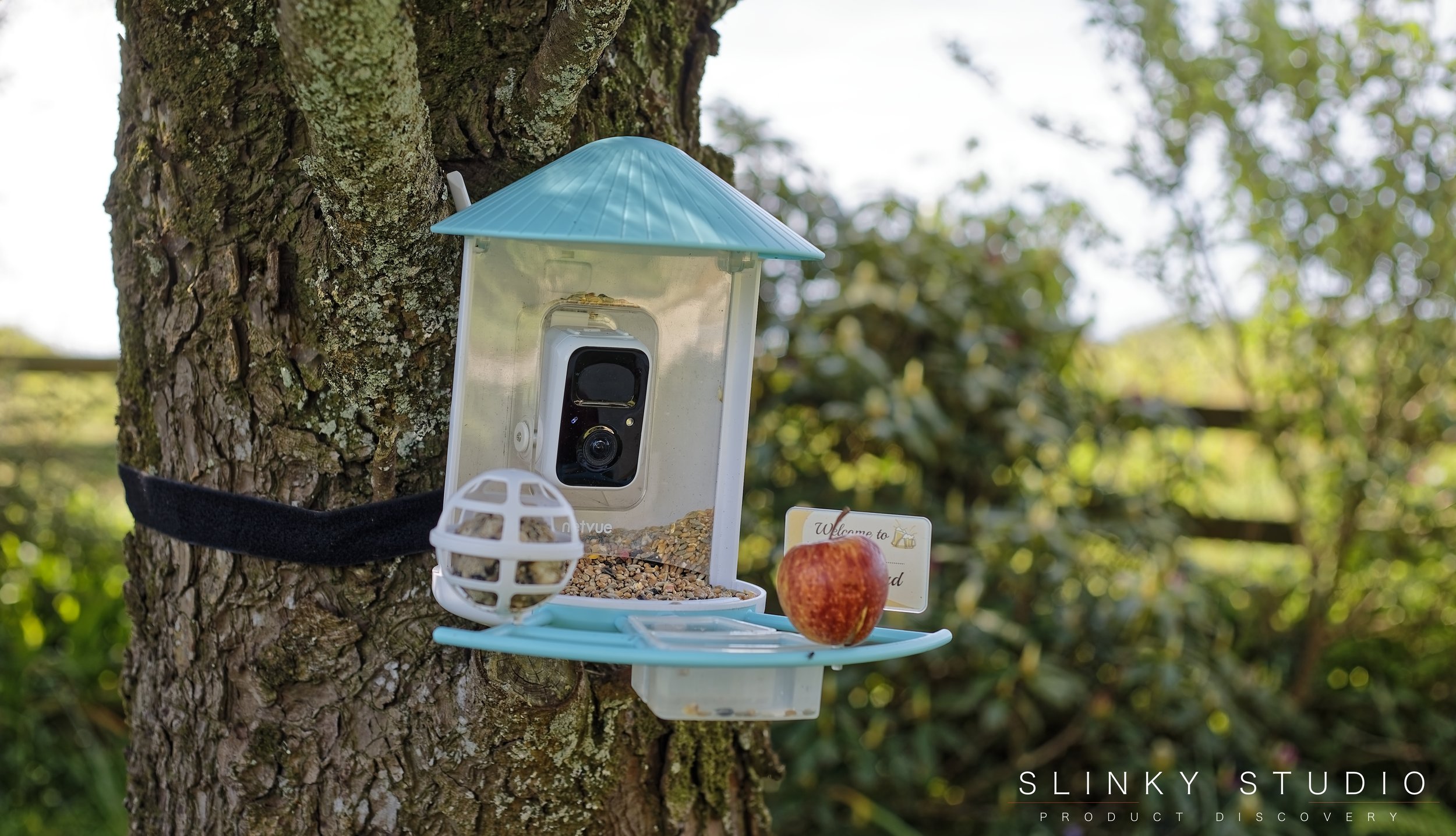 Netvue Birdfy Smart AI Bird Feeder.jpg