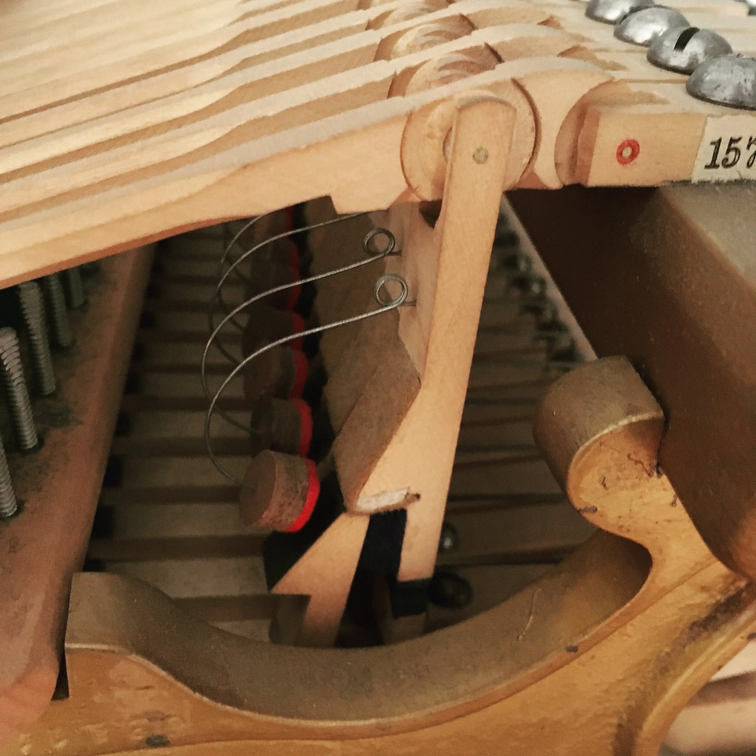 Bluthner grand piano action detail