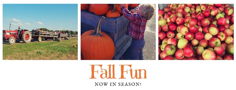 Fall-Fun wagon ride-1.jpg