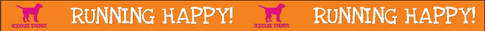 Scoogie Events Fencing 39inx50ft (One third size) 2019 V2.png