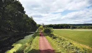 RS CANAL RUNNER.jpg
