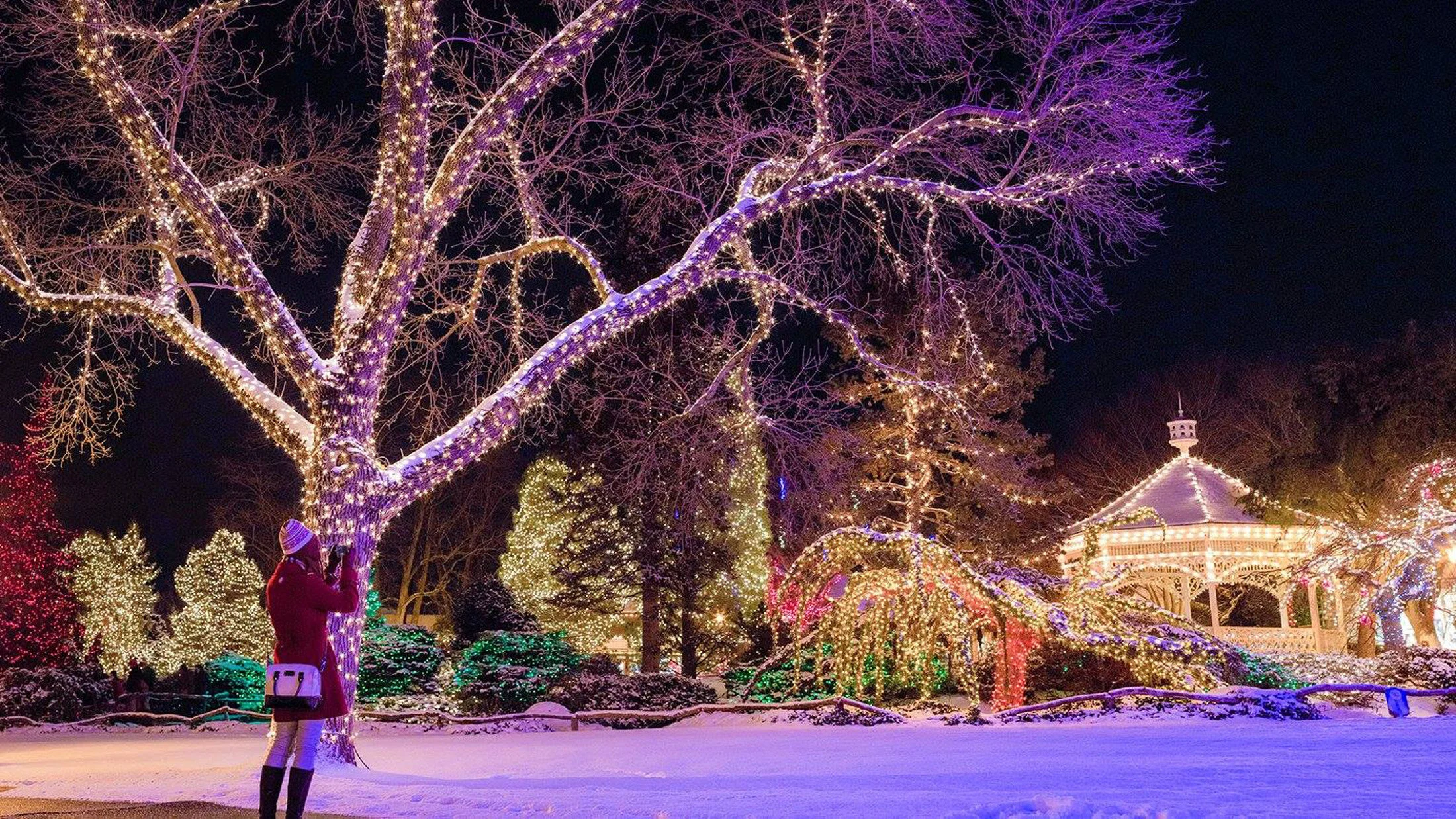 peddlers holiday lights.jpg