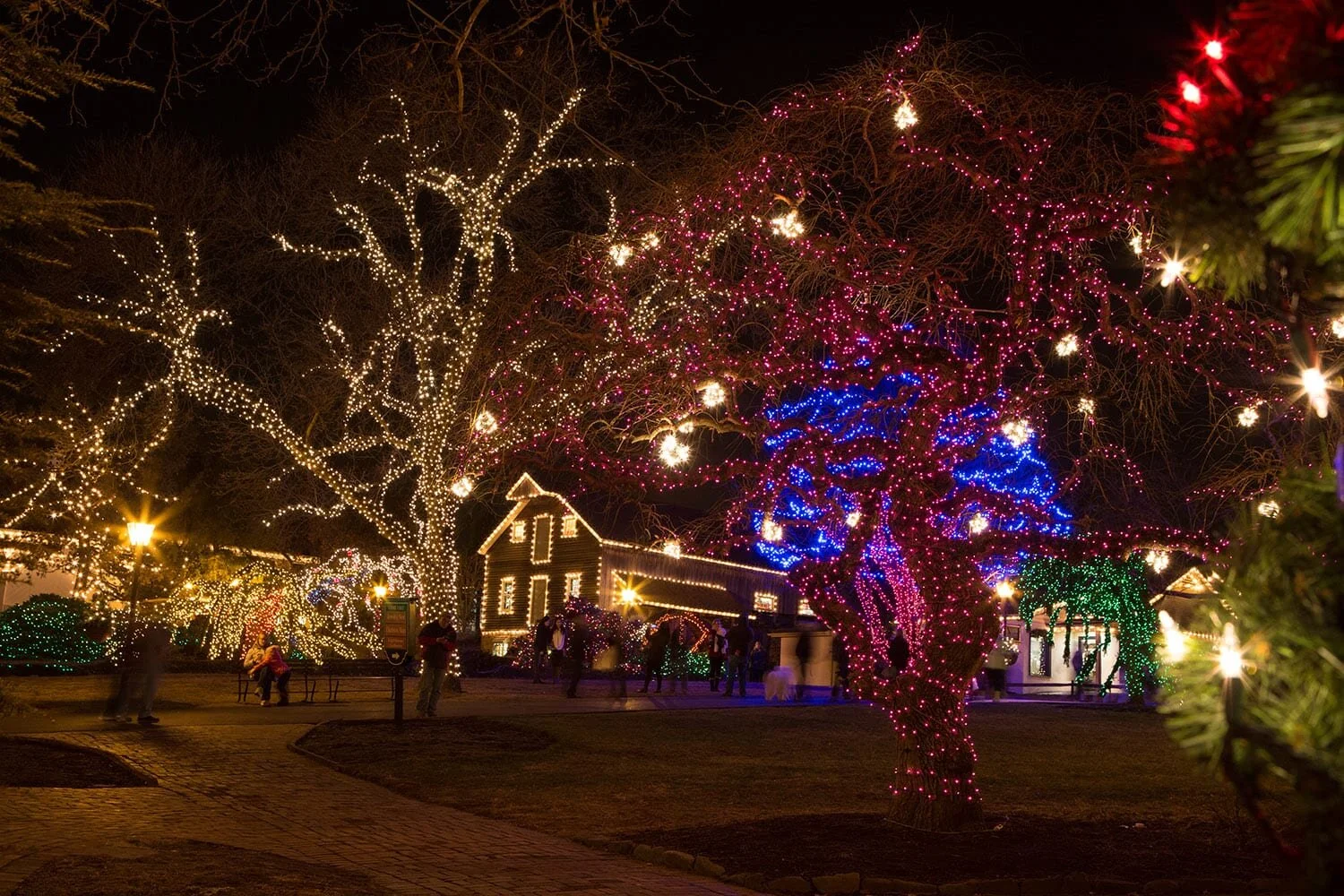 pv lights.jpg