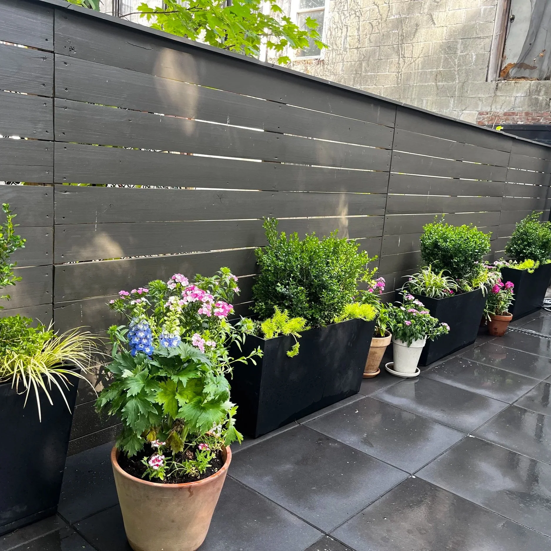 PLANTINGS