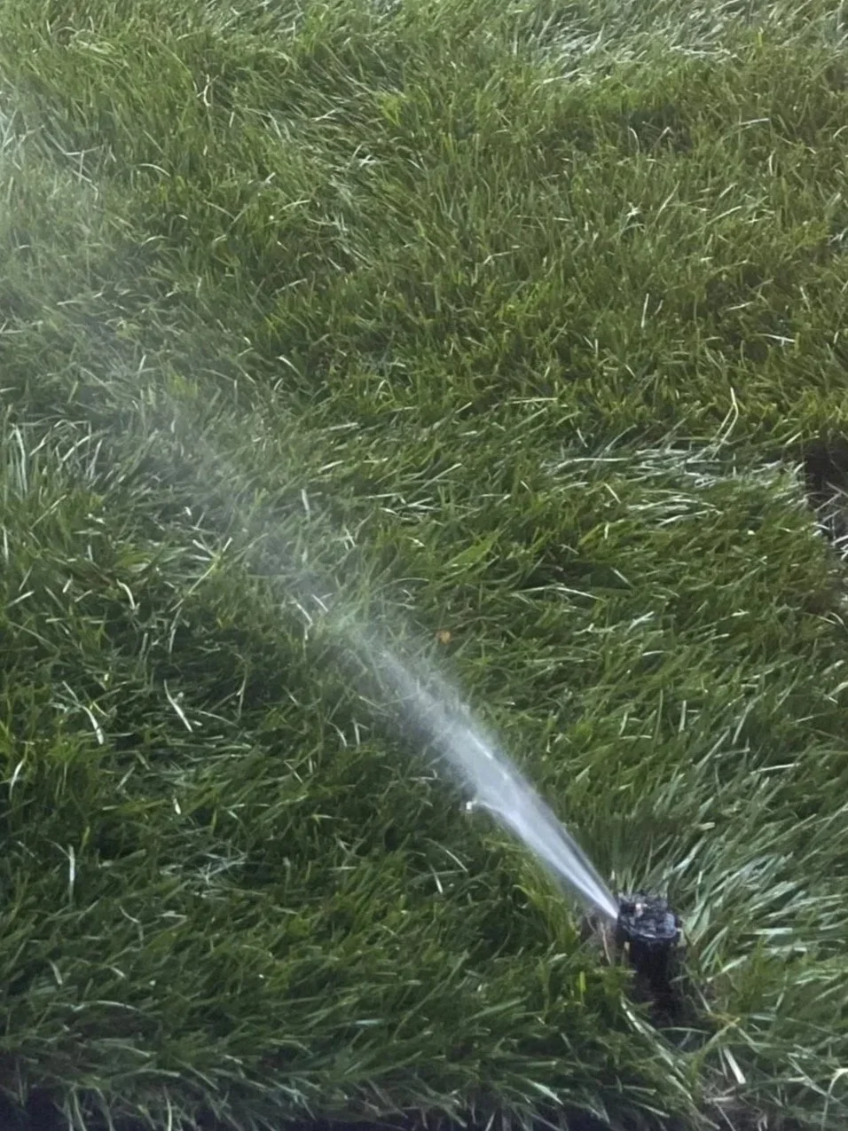 IRRIGATION