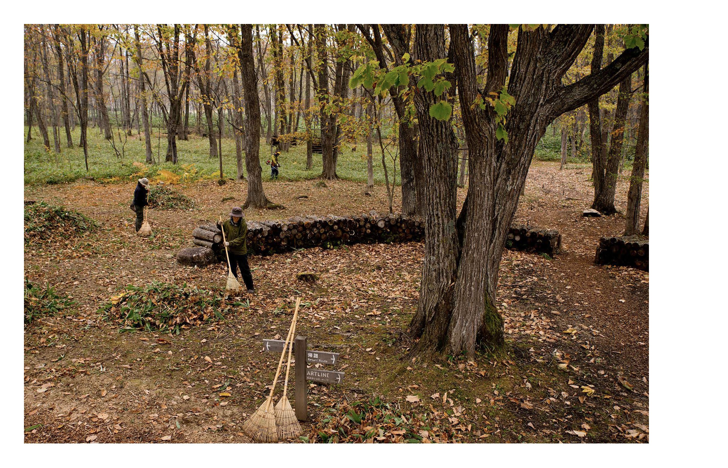 MILLENNIUM FOREST BOOK FOR WEBSITE_Page_14.jpg