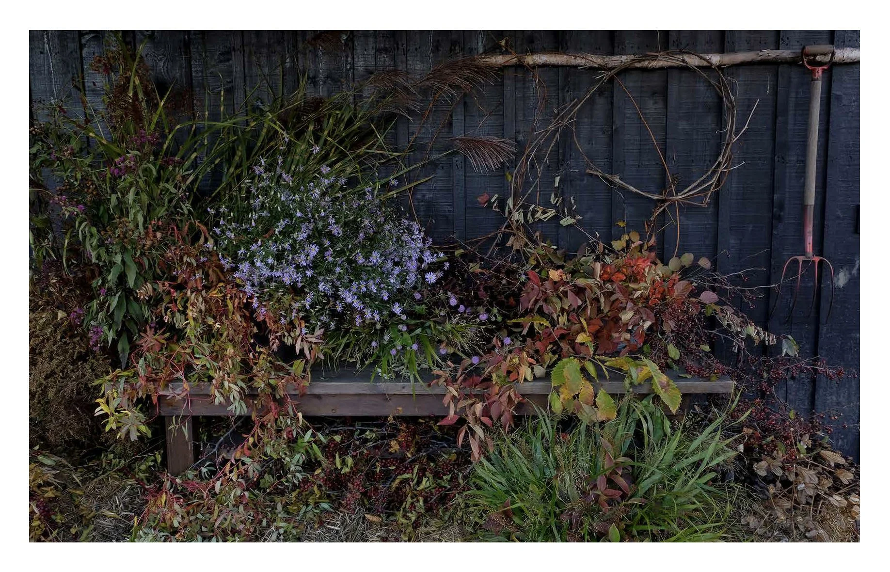 MILLENNIUM FOREST BOOK FOR WEBSITE_Page_32.jpg