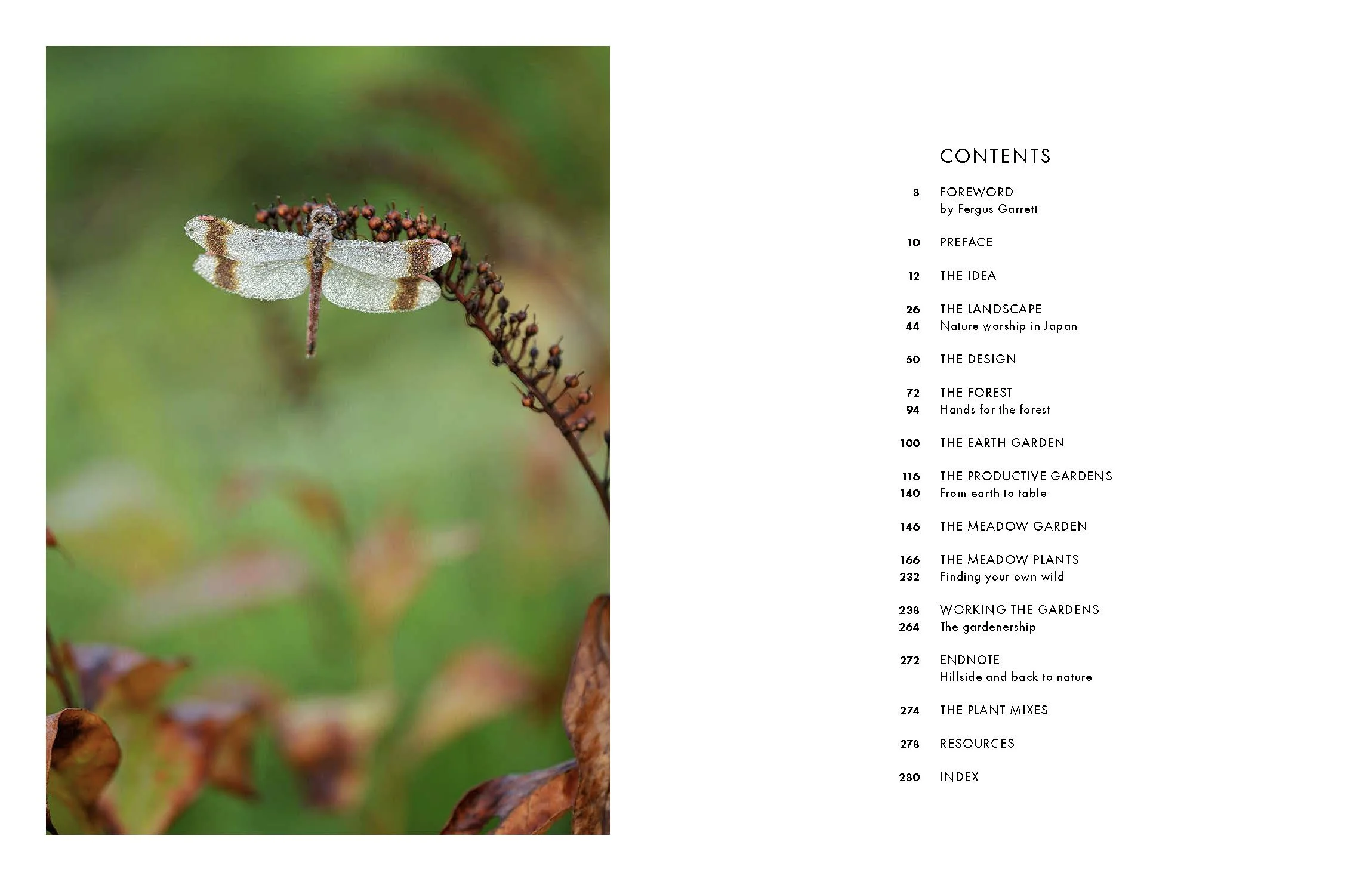 MILLENNIUM FOREST BOOK FOR WEBSITE_Page_02.jpg