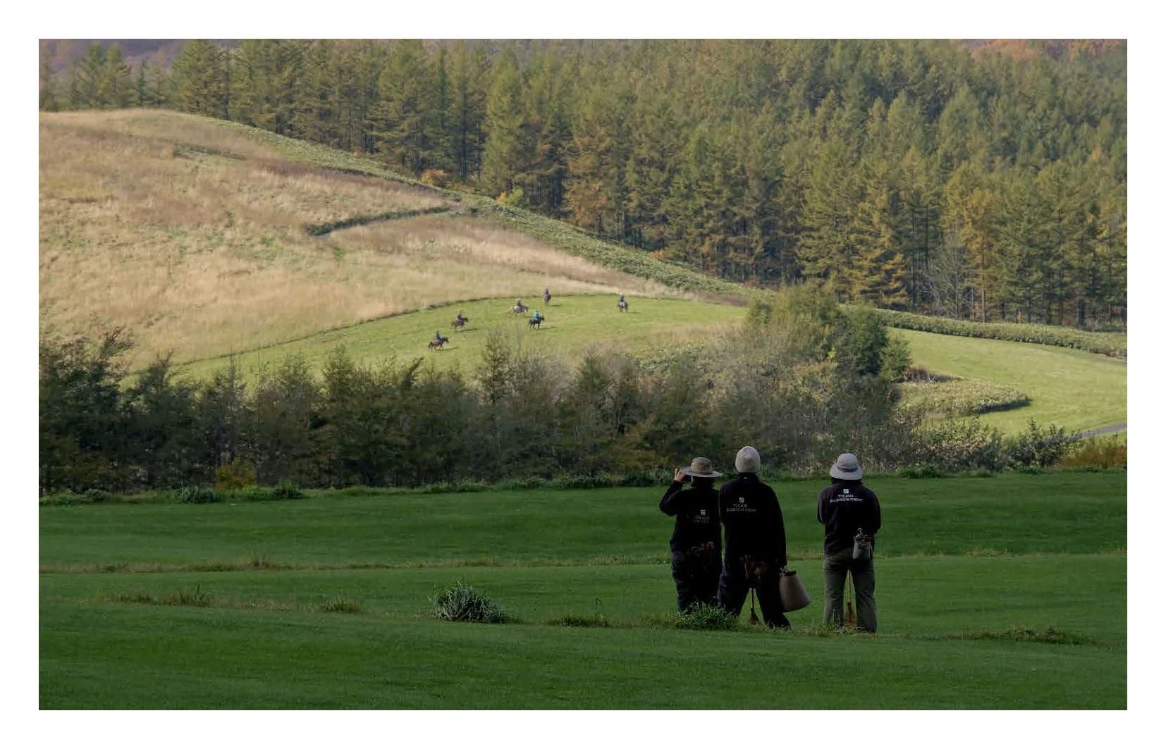 MILLENNIUM FOREST BOOK FOR WEBSITE_Page_04.jpg