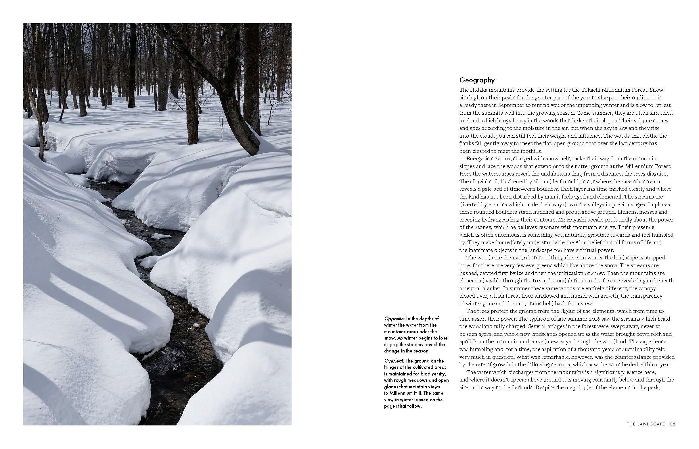 MILLENNIUM FOREST BOOK FOR WEBSITE_Page_06.jpg