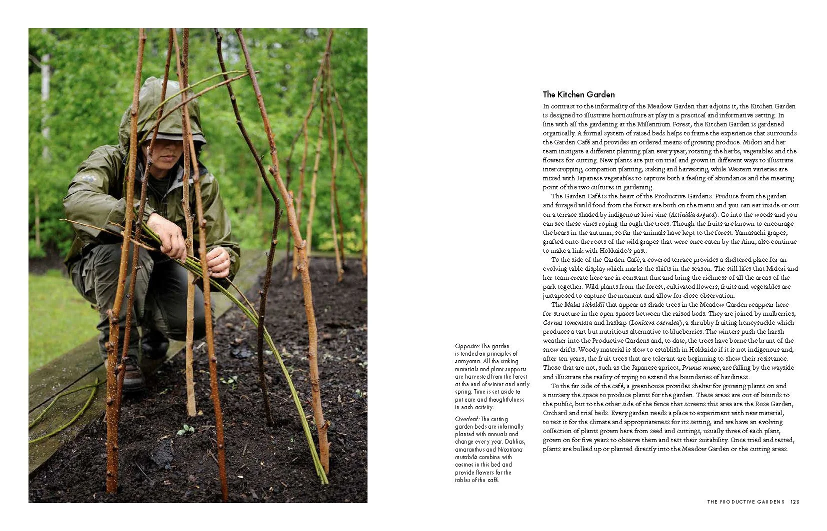 MILLENNIUM FOREST BOOK FOR WEBSITE_Page_18.jpg
