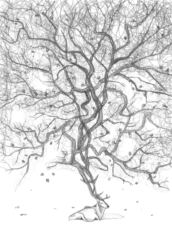dmb_toronto_sketch