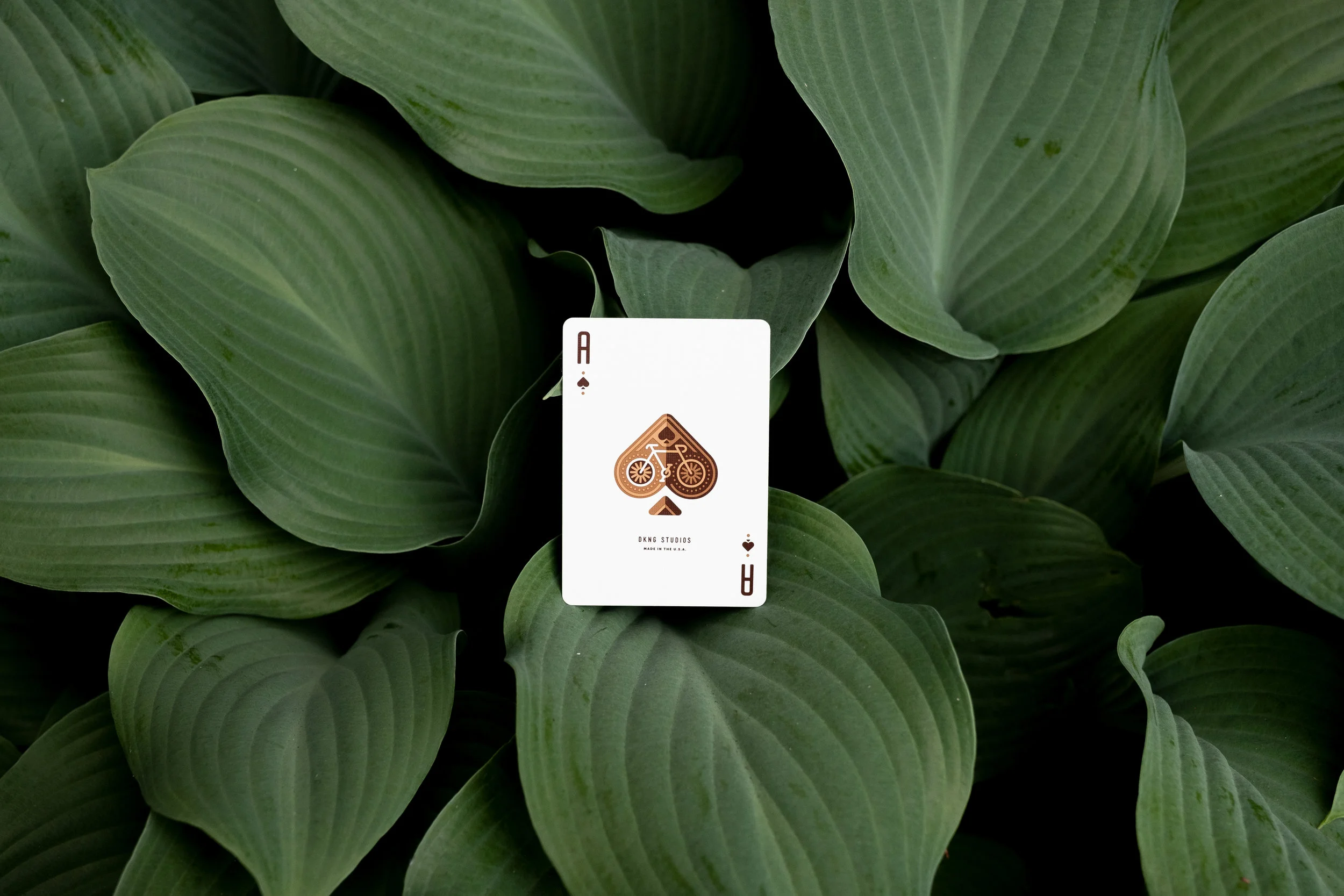 AP-PlayingCards-DKNGGreenWheels-LS14.jpg