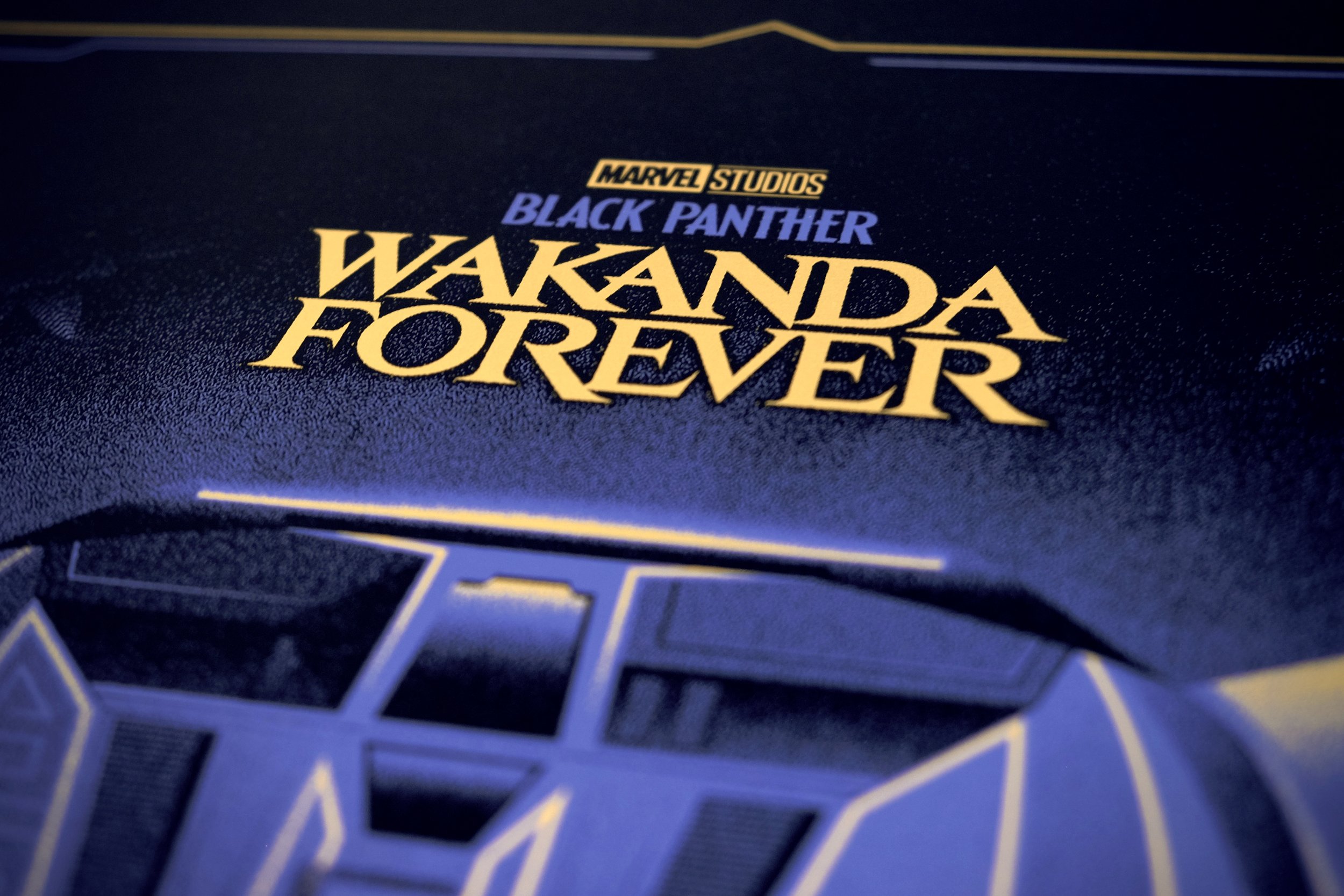 black_panther_pic_3.jpg