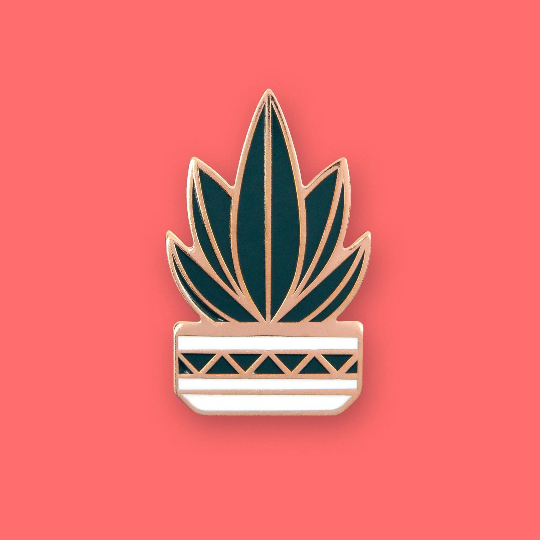 single_agave_pink_bg.jpg