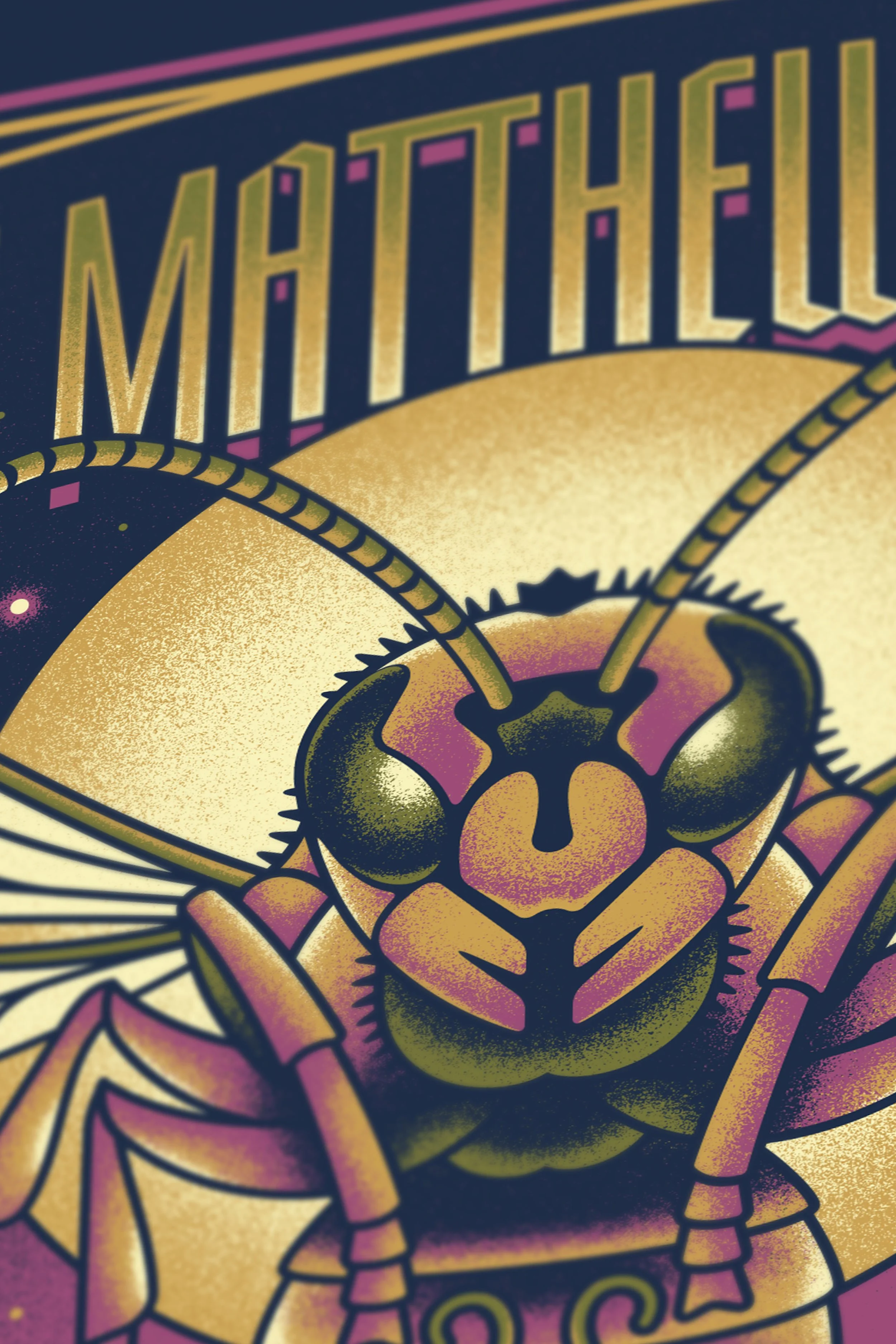 dmb_charlotte_reg_pic_1.jpg